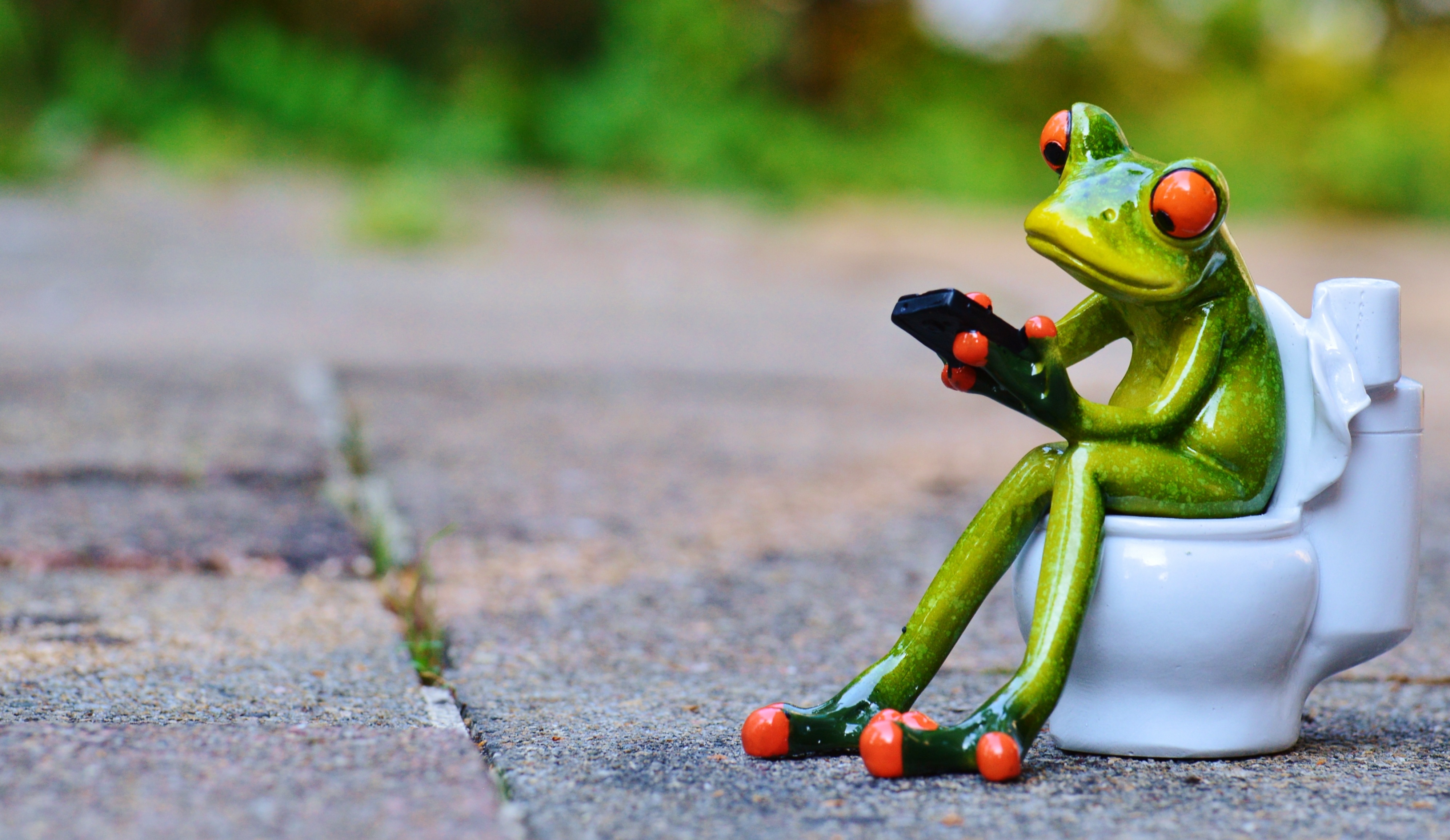 mobile phone, surface level, pepper, wc, amphibian, close-up, figurine, representation, focus on foreground, healthy eating, selective focus, toilet, creativity, HD Wallpaper