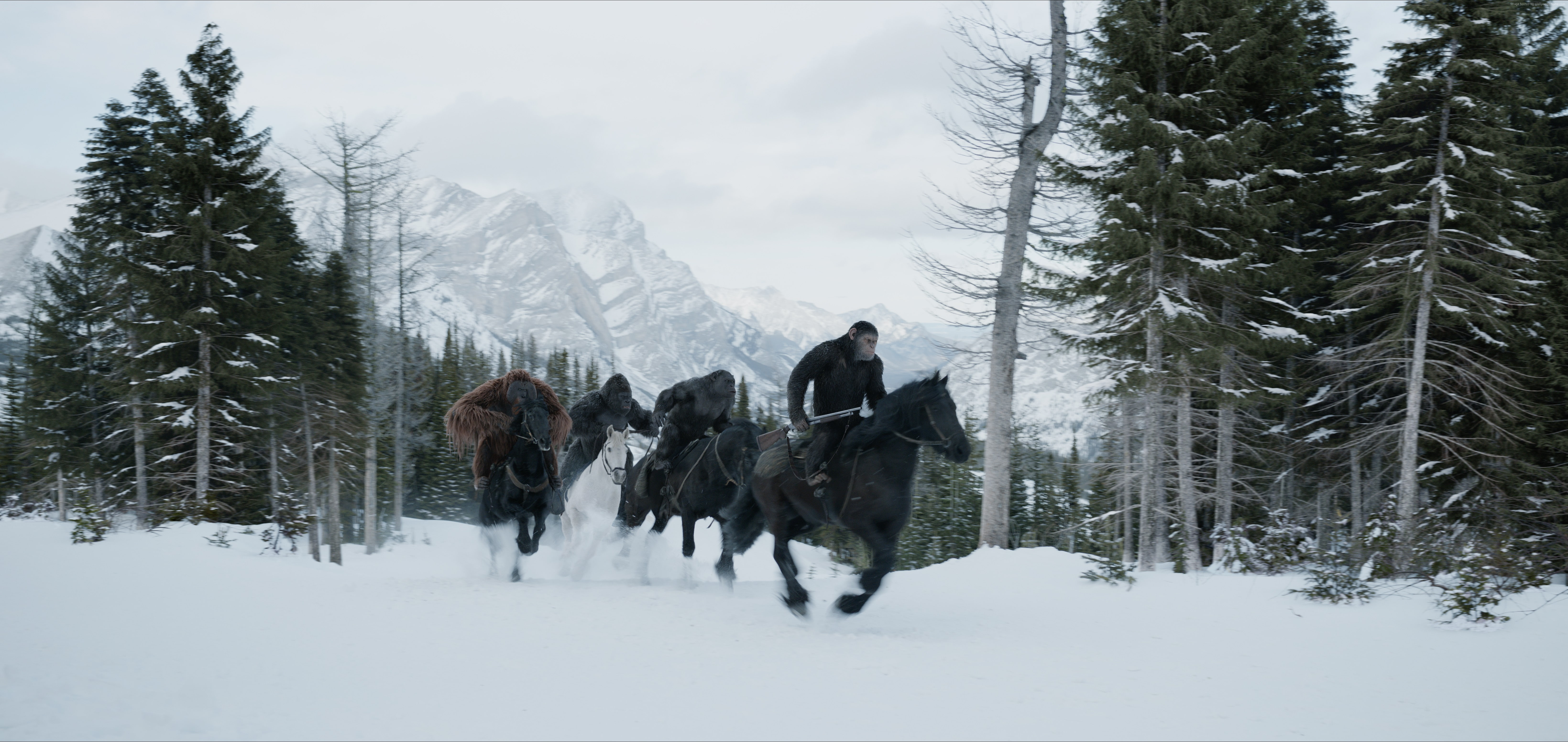 War for the Planet of the Apes, 5k, 5K, HD Wallpaper