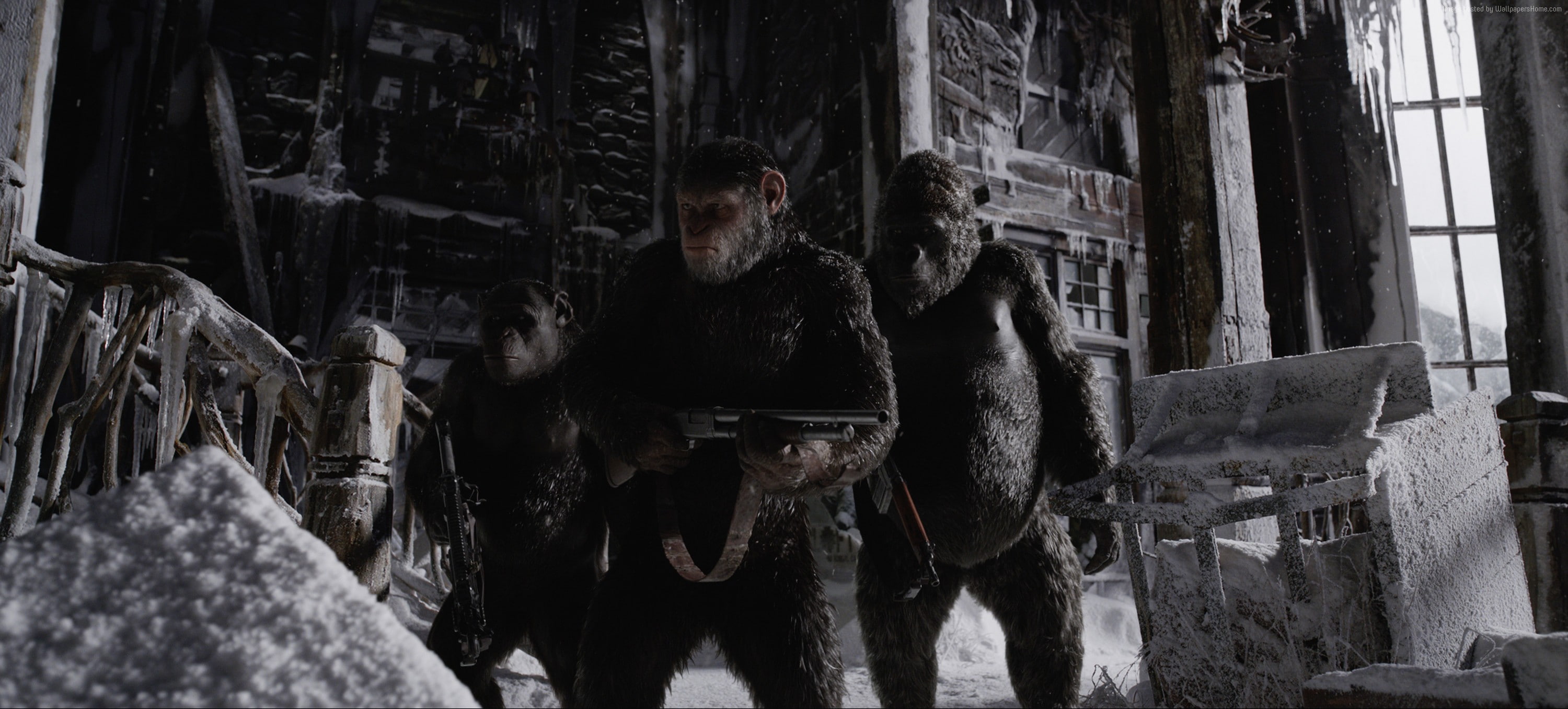 4k, gorilla, 2K, snow, War for the Planet of the Apes, HD Wallpaper