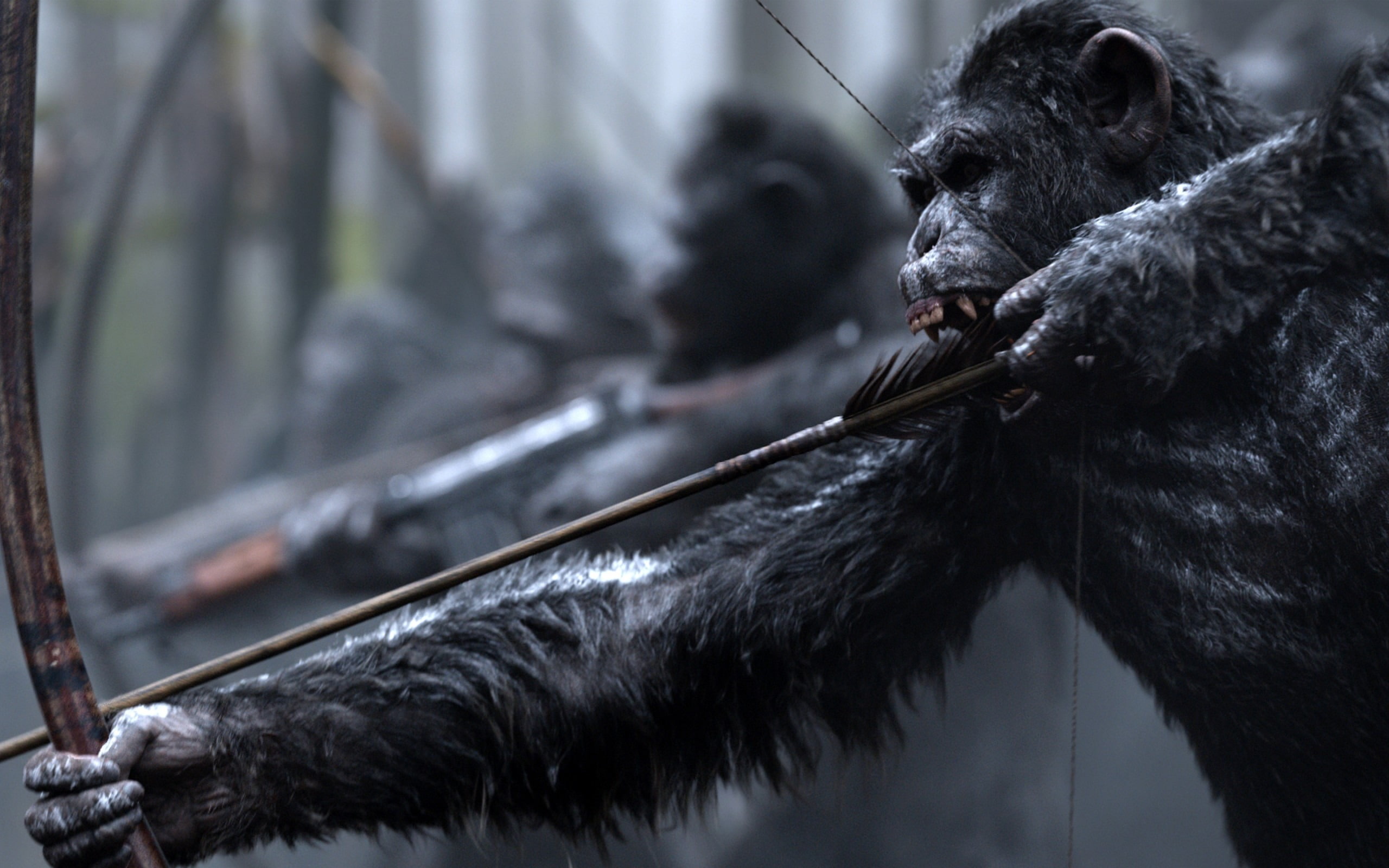 war, day, animals in the wild, no people, animal themes, zoo, primate, movie, ape, eating, apes, forest, wallp, planet, animal wildlife, one animal, vertebrate, HD Wallpaper