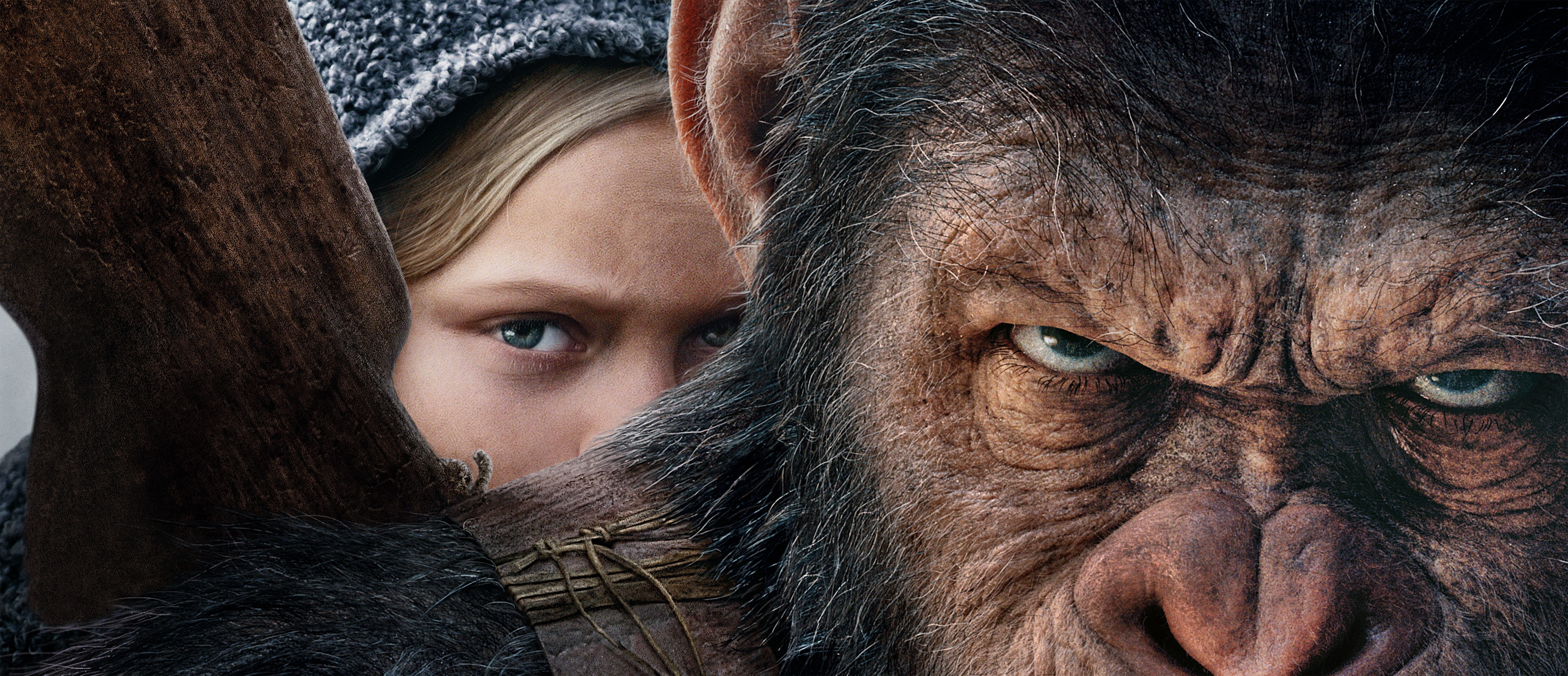 HD, 4K, 4K, War for the Planet of the Apes, ape, movie, scene, planet, HD Wallpaper