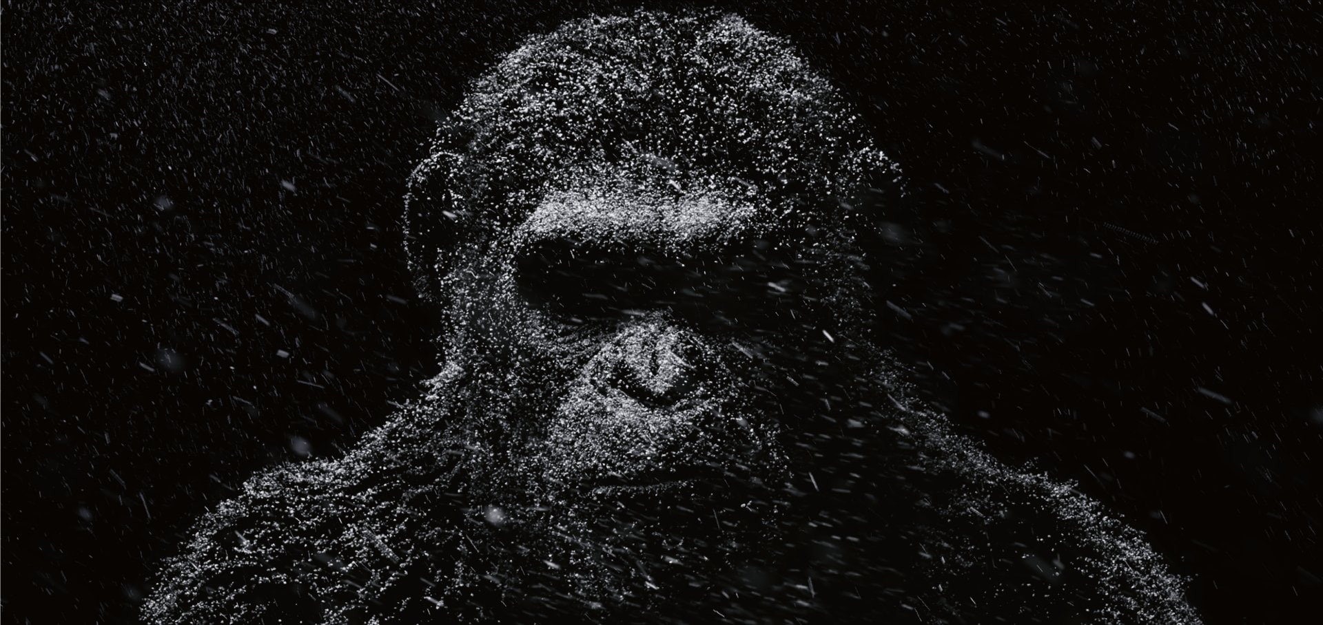 1080P, Movie, War For The Planet Of The Apes, HD Wallpaper