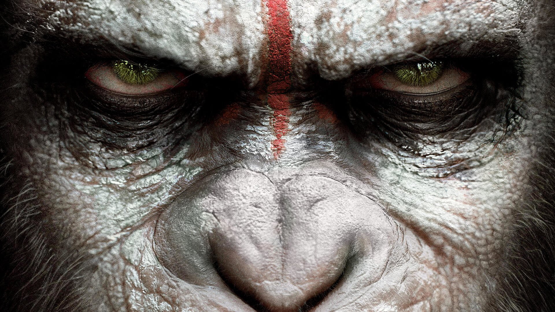 1080P, Dawn of the Planet of the Apes, Movie, HD Wallpaper