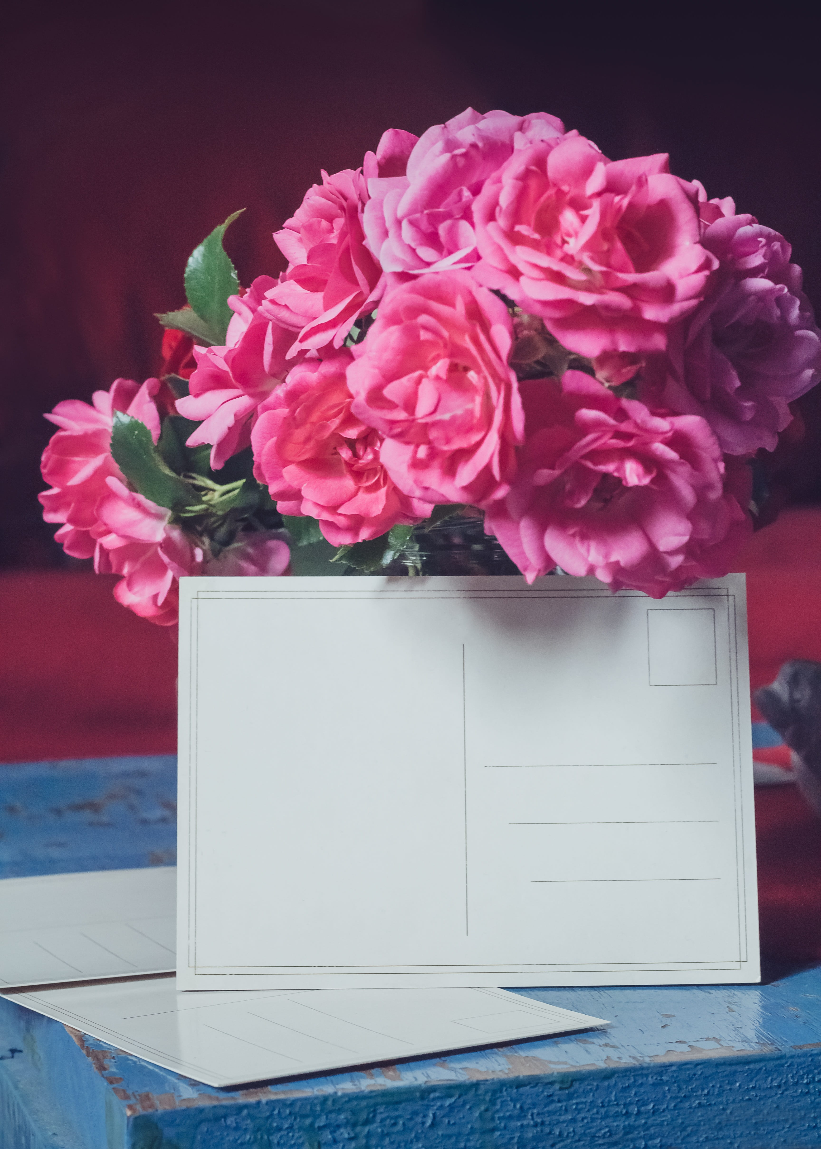 background, flowers, postcard, pink color, beauty in nature, petal, near, empty, flower head, pink, plant, flowering plant, floral, close-up, birthday, Phone HD Wallpaper