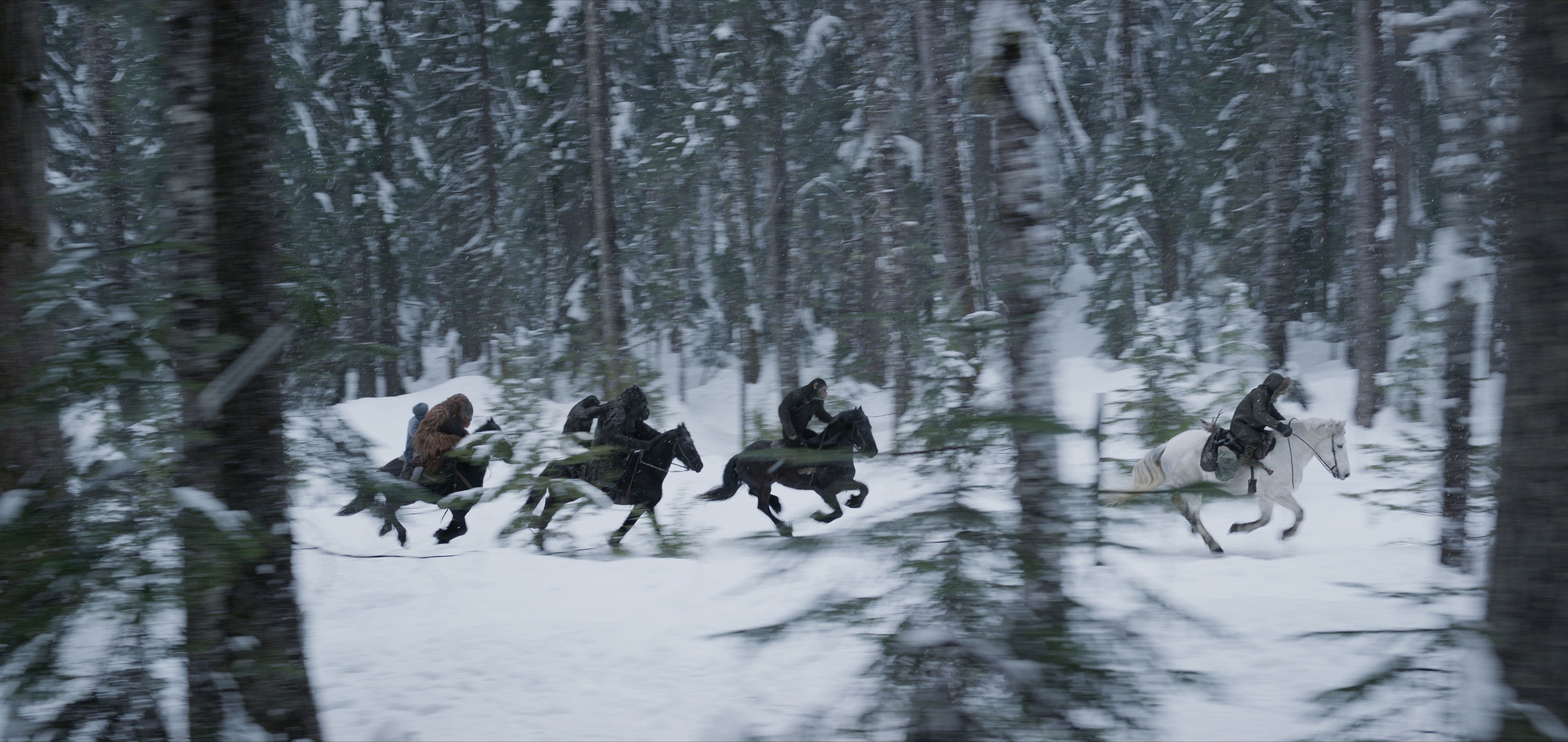 Movie, War For The Planet Of The Apes, 5K, HD Wallpaper