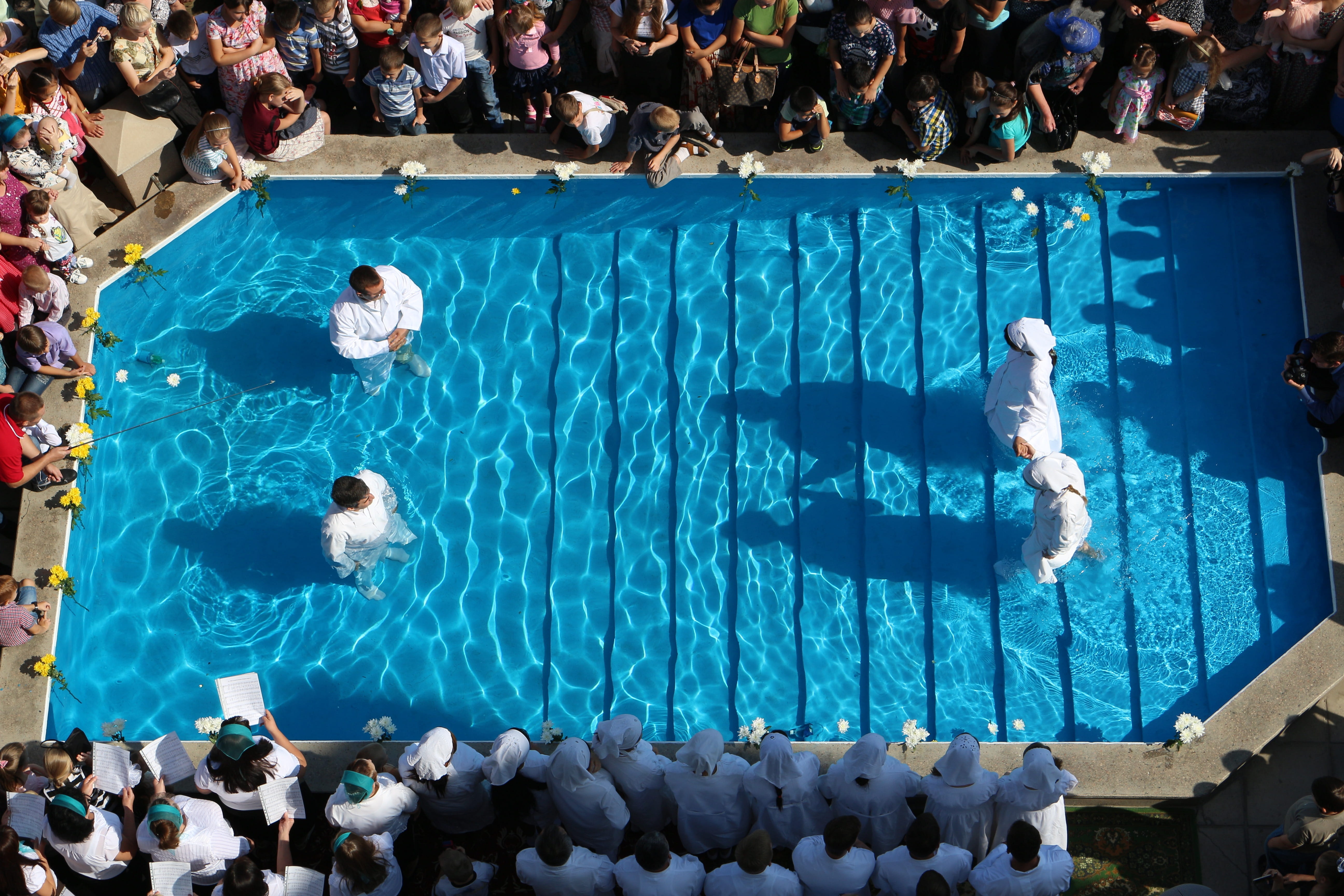 water, leisure activity, lifestyles, marine, competition, swimming, Vera, men, day, nature, high angle view, large group of people, real people, crowd, HD Wallpaper