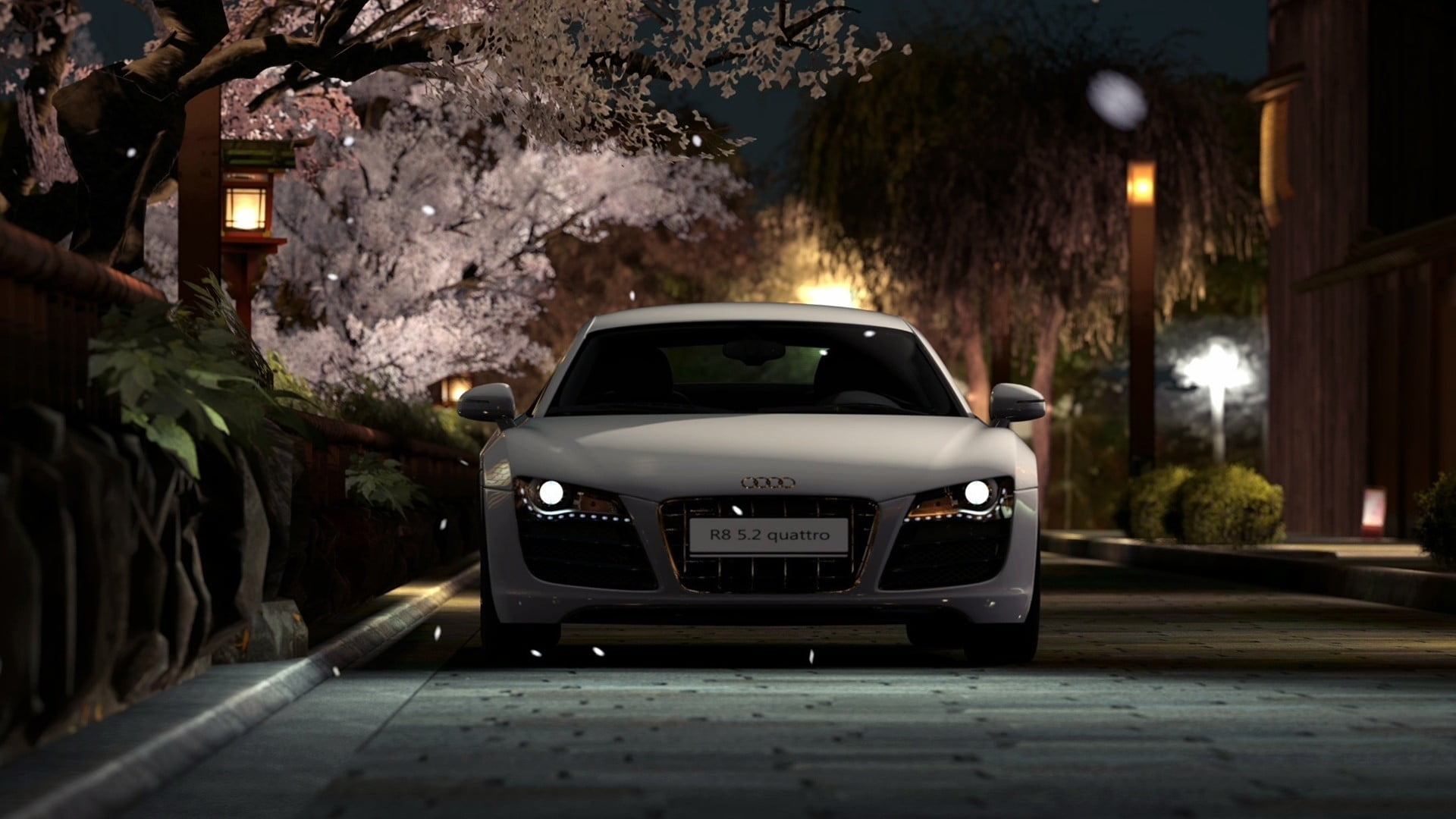 r, design, audi, lights, lighting Equipment, machine, cars, coupe, headlight, growth, wheel, plant, illuminated, mode of Transport, outdoors, HD Wallpaper