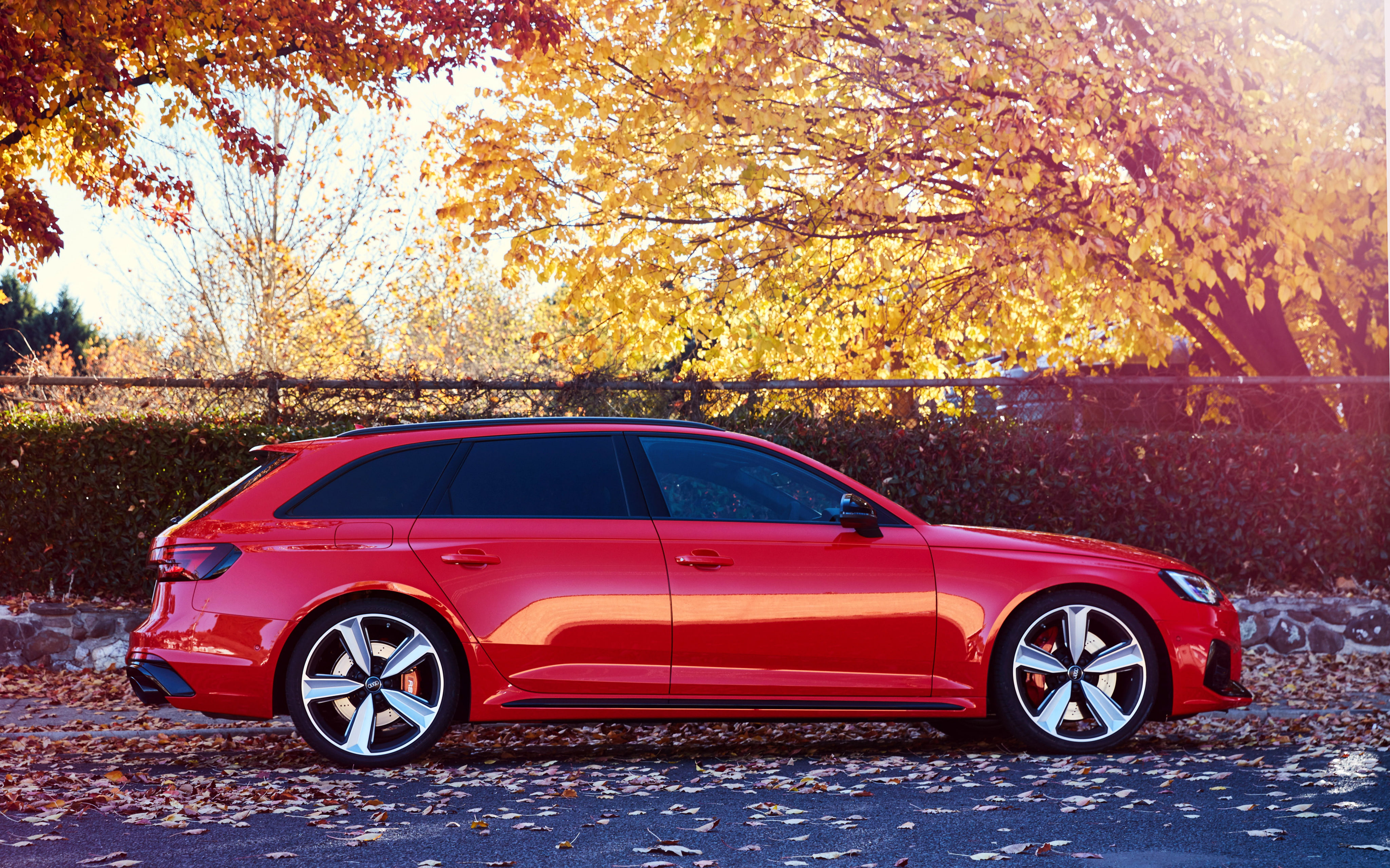 4K, stationary, 2018, plant, red, motor vehicle, luxury, leaf, plant part, nature, road, vintage car, change, autumn, day, 4K, land vehicle, Audi RS 4 Avant, HD Wallpaper
