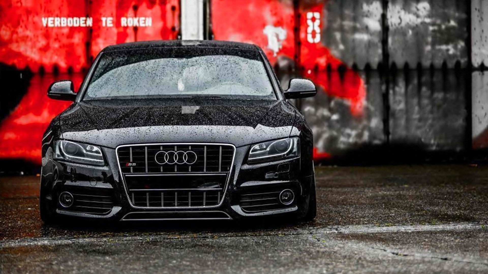 Audi S5, Audi, 1080P, HD Wallpaper