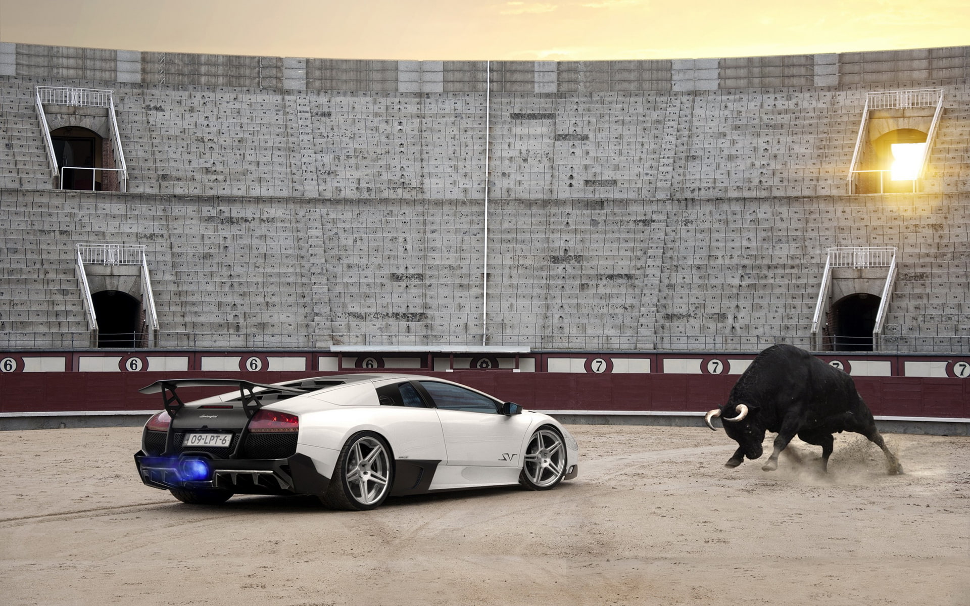 lamborghini, black, arena, sv, bull, white, huracan, backfire, cars, sunlight, 1080P, flame, hd, murcielago, HD Wallpaper