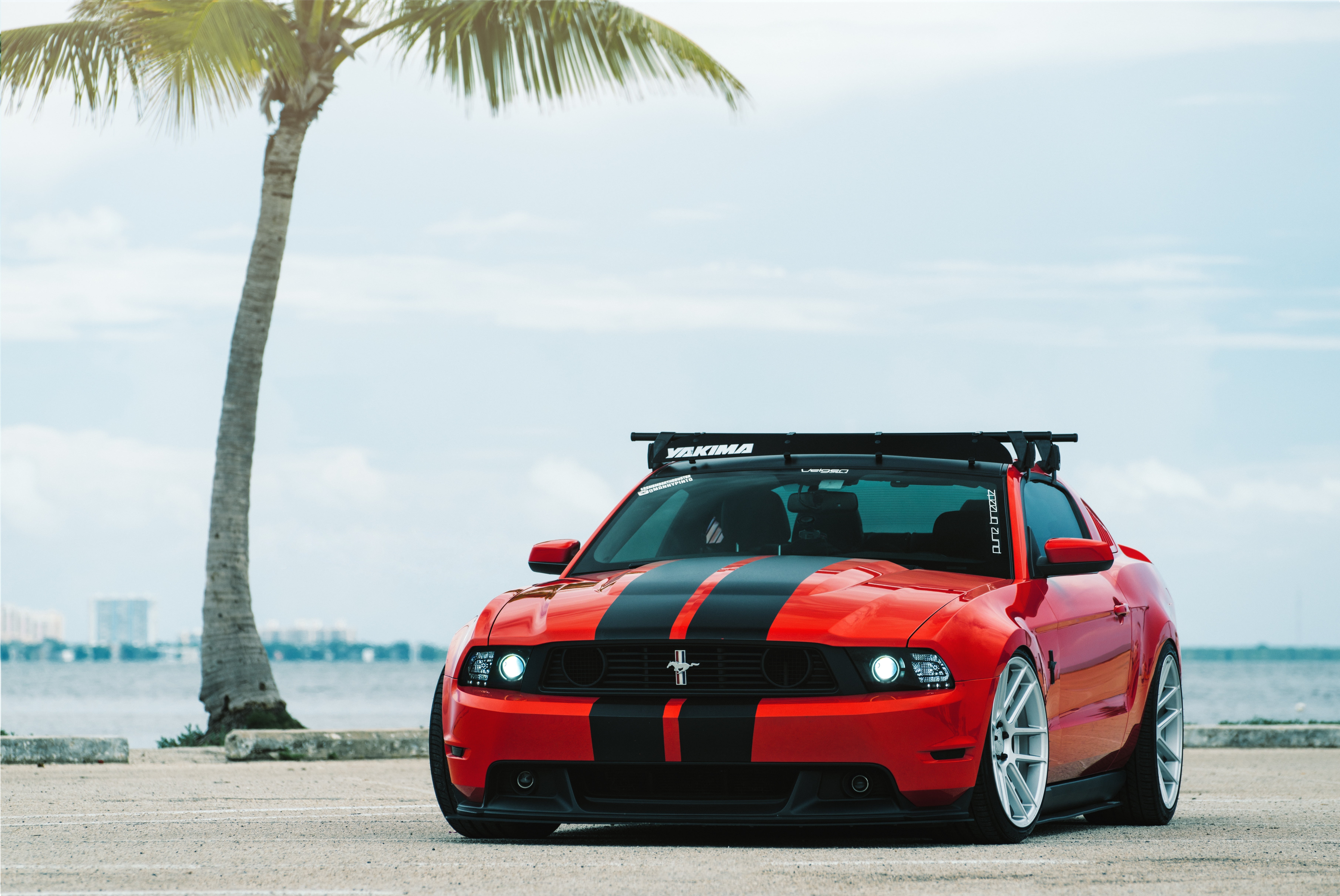 mode of transportation, travel, tropical climate, tree, day, no people, outdoors, Red, cloud - sky, convertible, nature, Velgen Wheels, Ford Mustang, land, HD Wallpaper