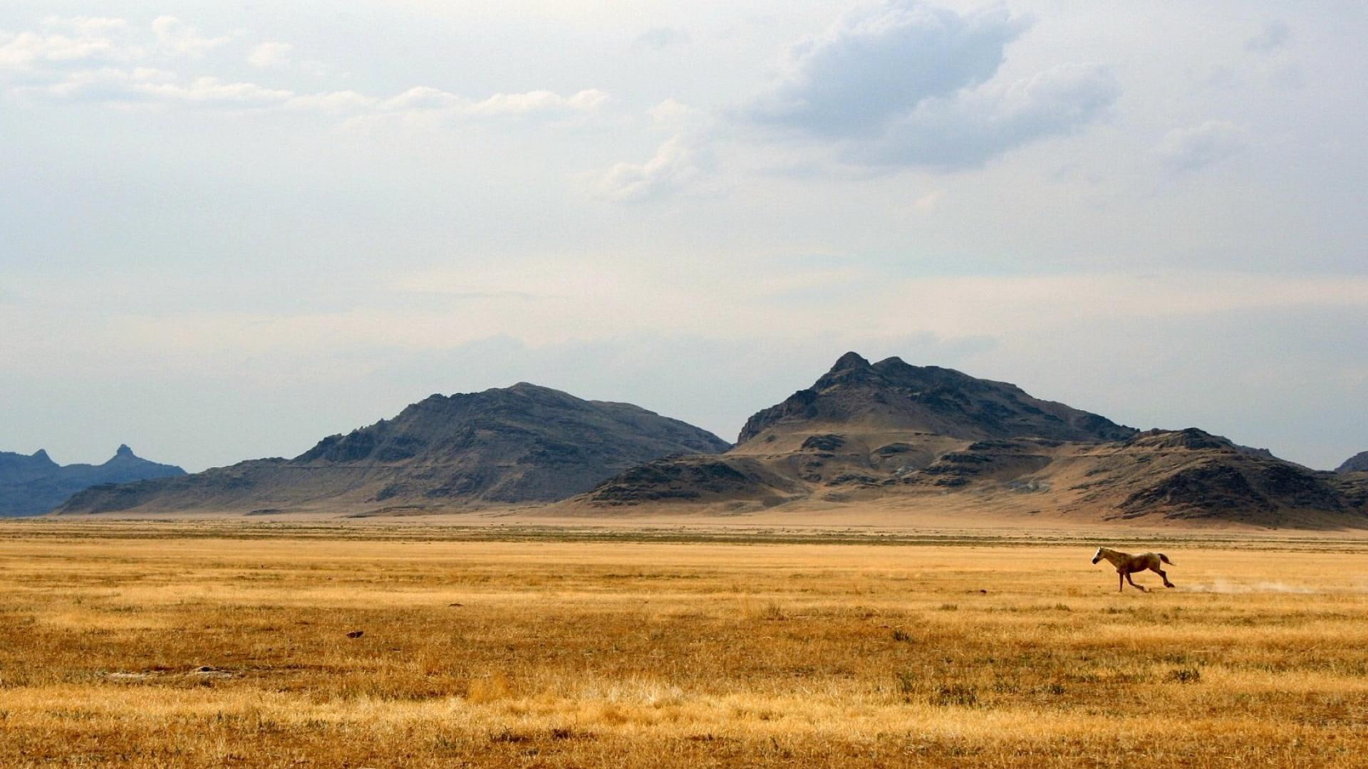 mountains, 1080P, horse, prairie, animals, galloping, HD Wallpaper