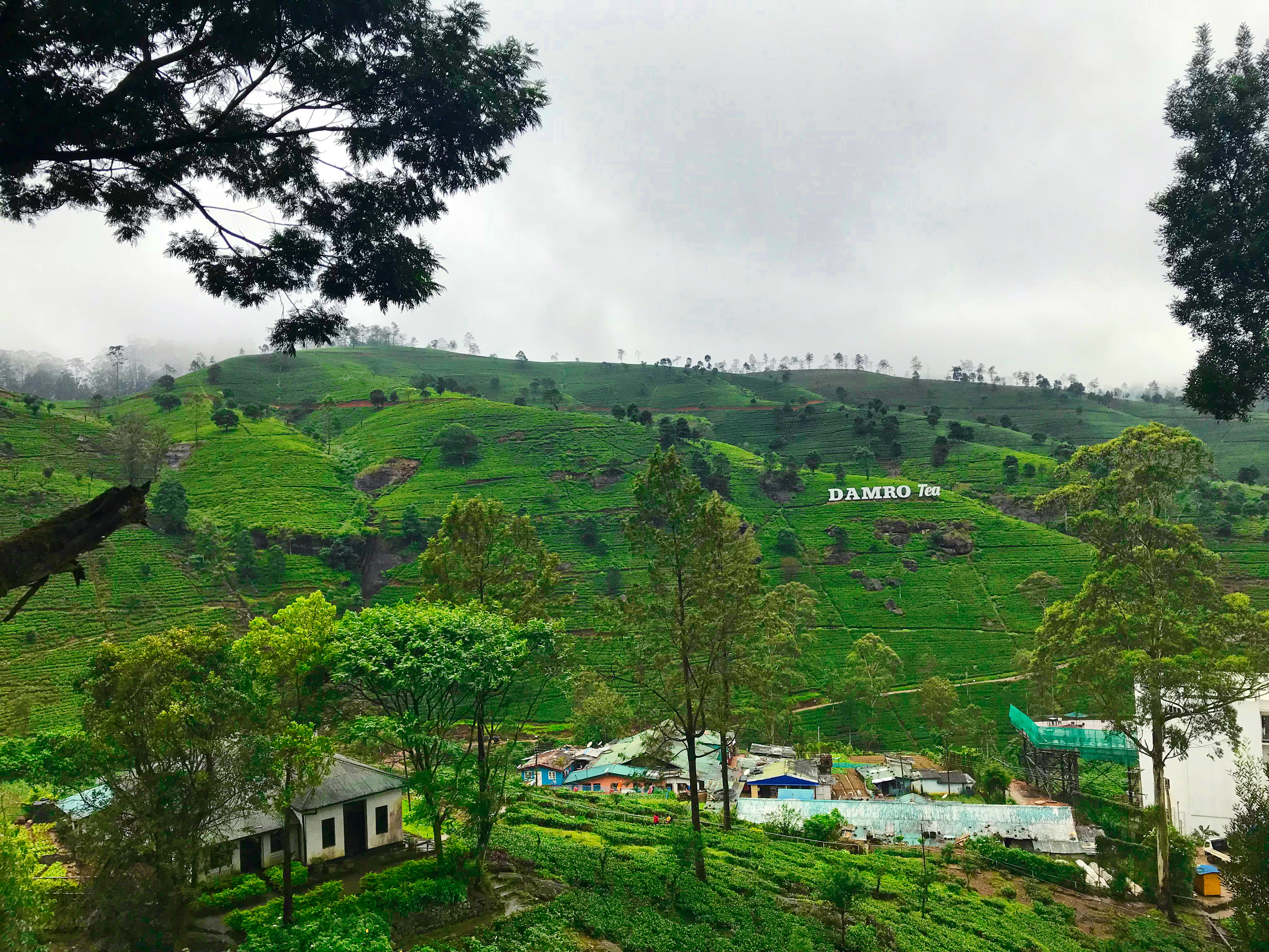 nuwara eliya, outdoors, landscape, a5, built structure, nature, building exterior, scenics - nature, green color, tranquility, growth, day, house, sri lanka, HD Wallpaper