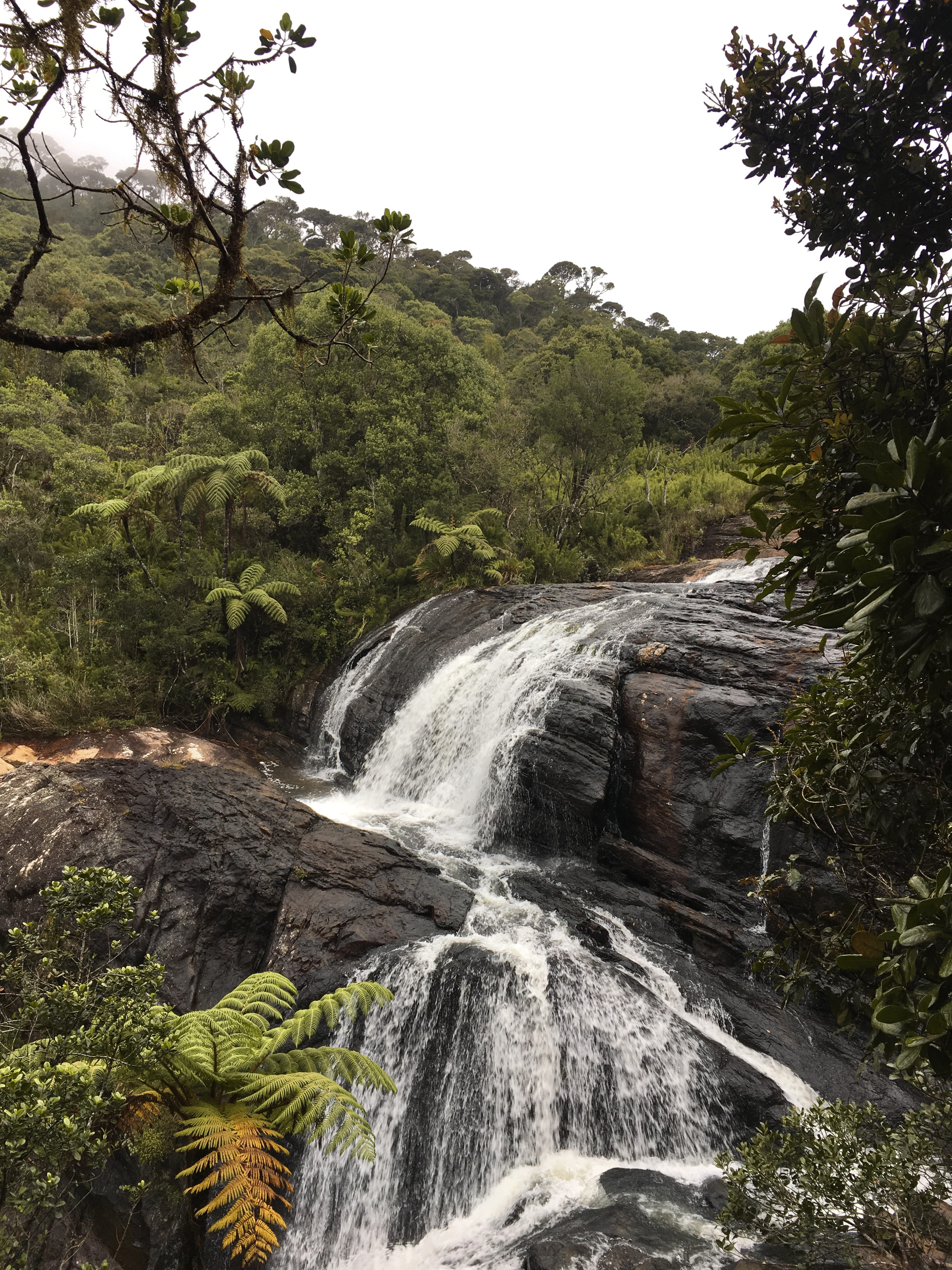 nuwara eliya, waterfall, arbour, conifer, sky, water, motion, tree, flowing, stream, outdoors, flowing water, sri lanka, power in nature, river, creek, Phone HD Wallpaper