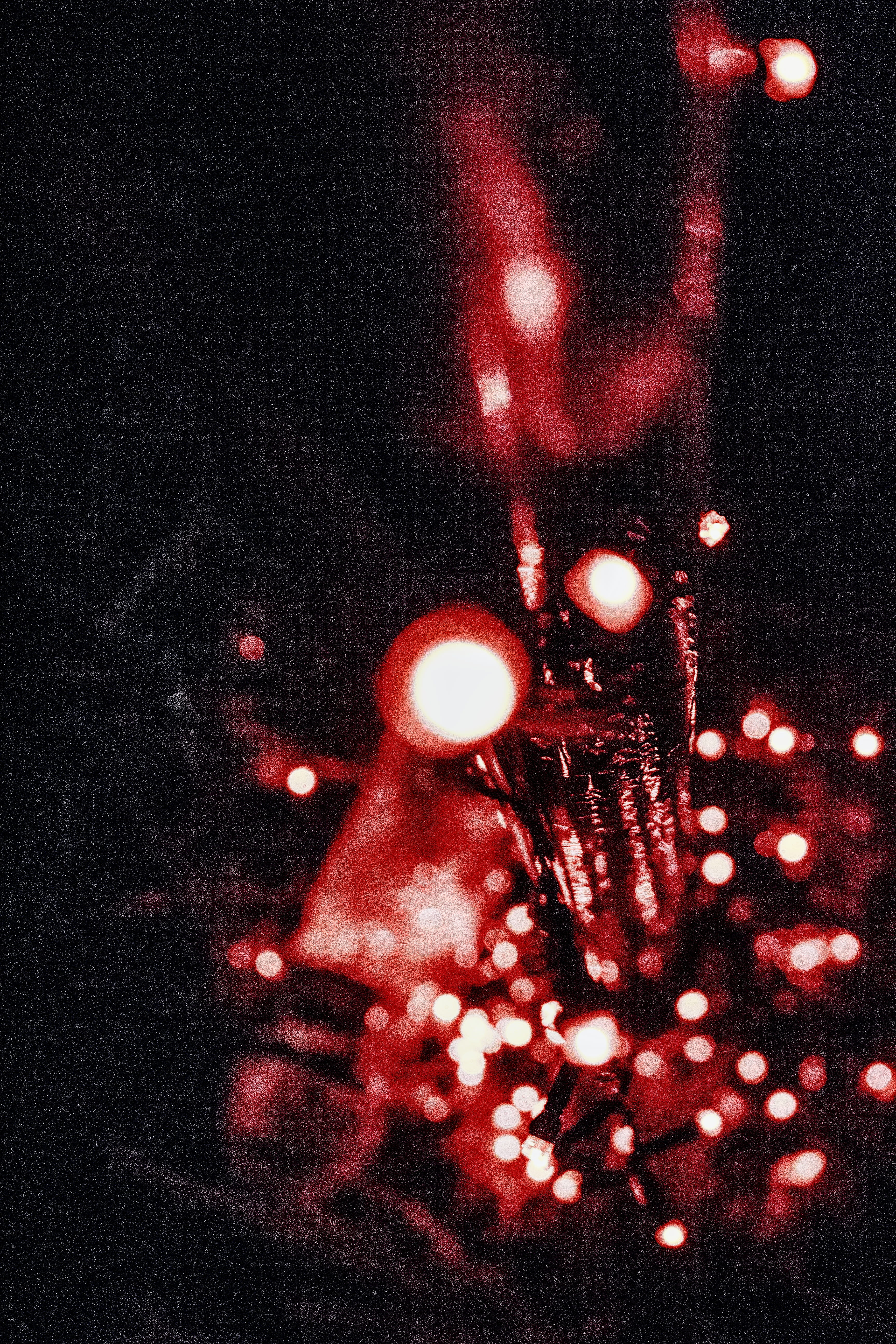 nuwara eliya, nuwara eliya race course ground, close-up, holiday, lighting equipment, nature, dark, red, christmas ornament, celebration, illuminated, christmas decoration, Phone HD Wallpaper