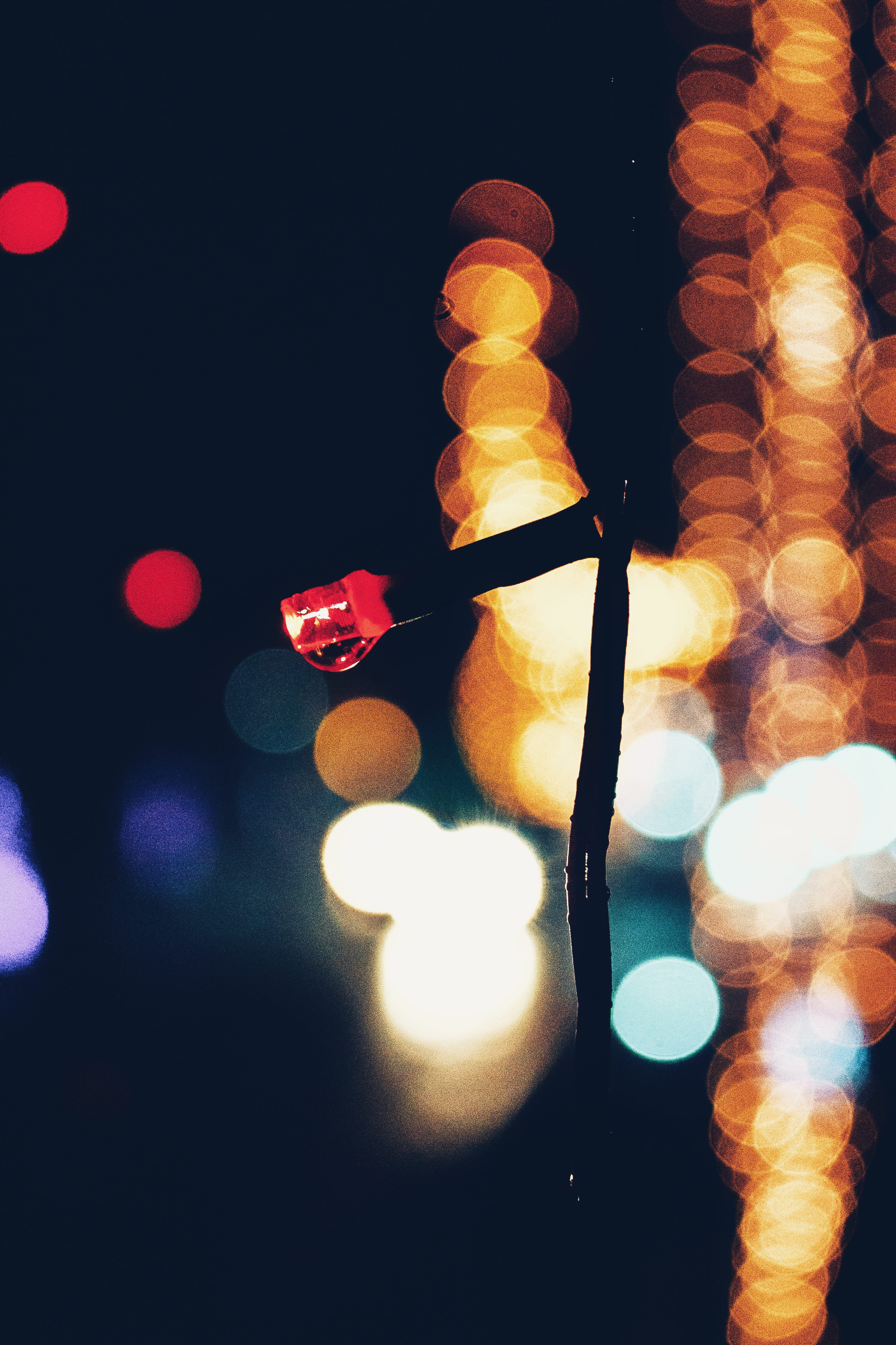 decoration, close-up, electricity, christmas lights, 5K, nuwara eliya, indoors, sri lanka, lens flare, no people, circle, lighting equipment, electrical equipment, Phone HD Wallpaper