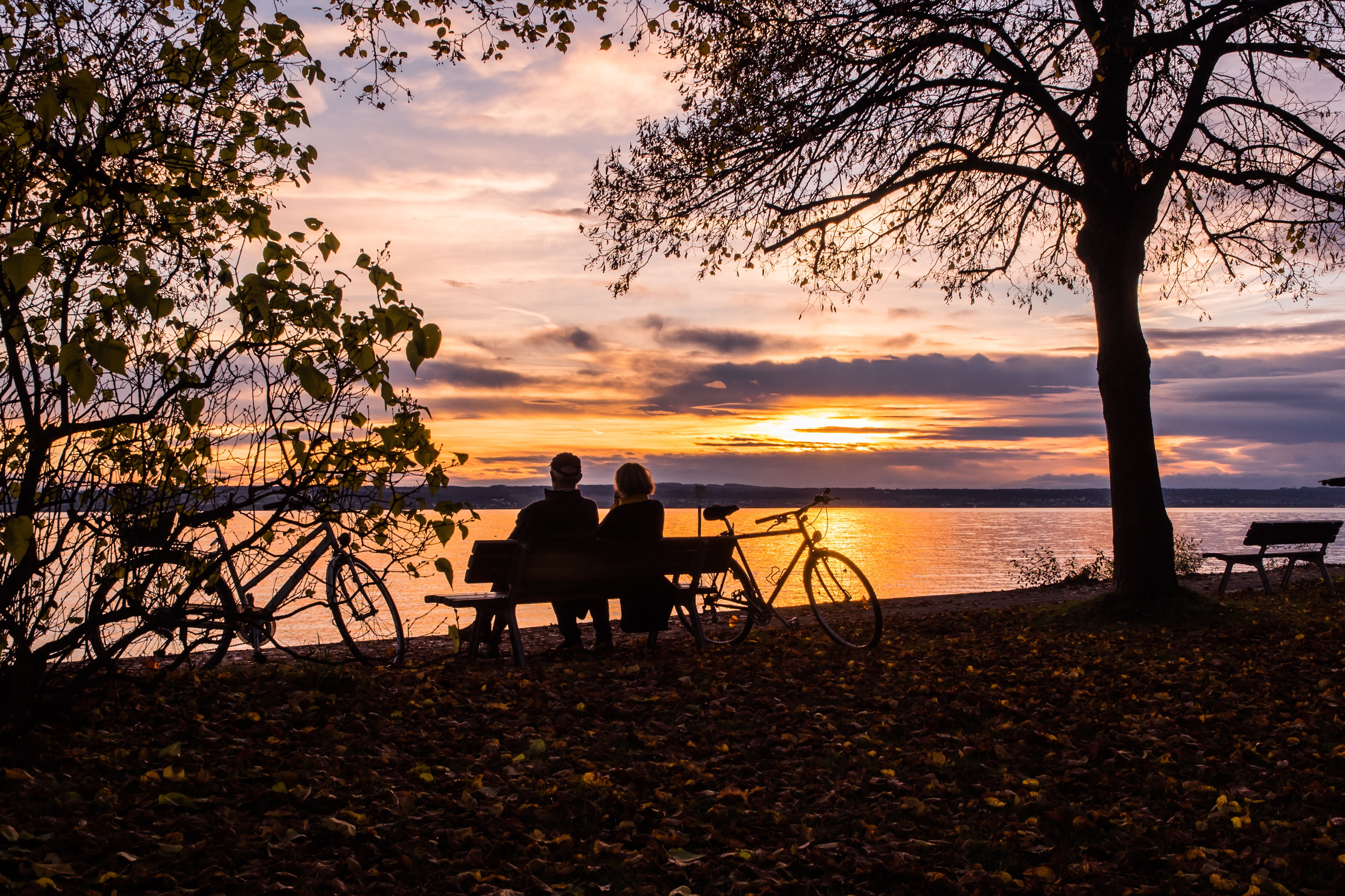 lake constance, rest, bicycle tour, more, sitting, bank, human, two people, silhouette, tree, outdoors, woman, bike, adult, together, orange, lifestyles, HD Wallpaper