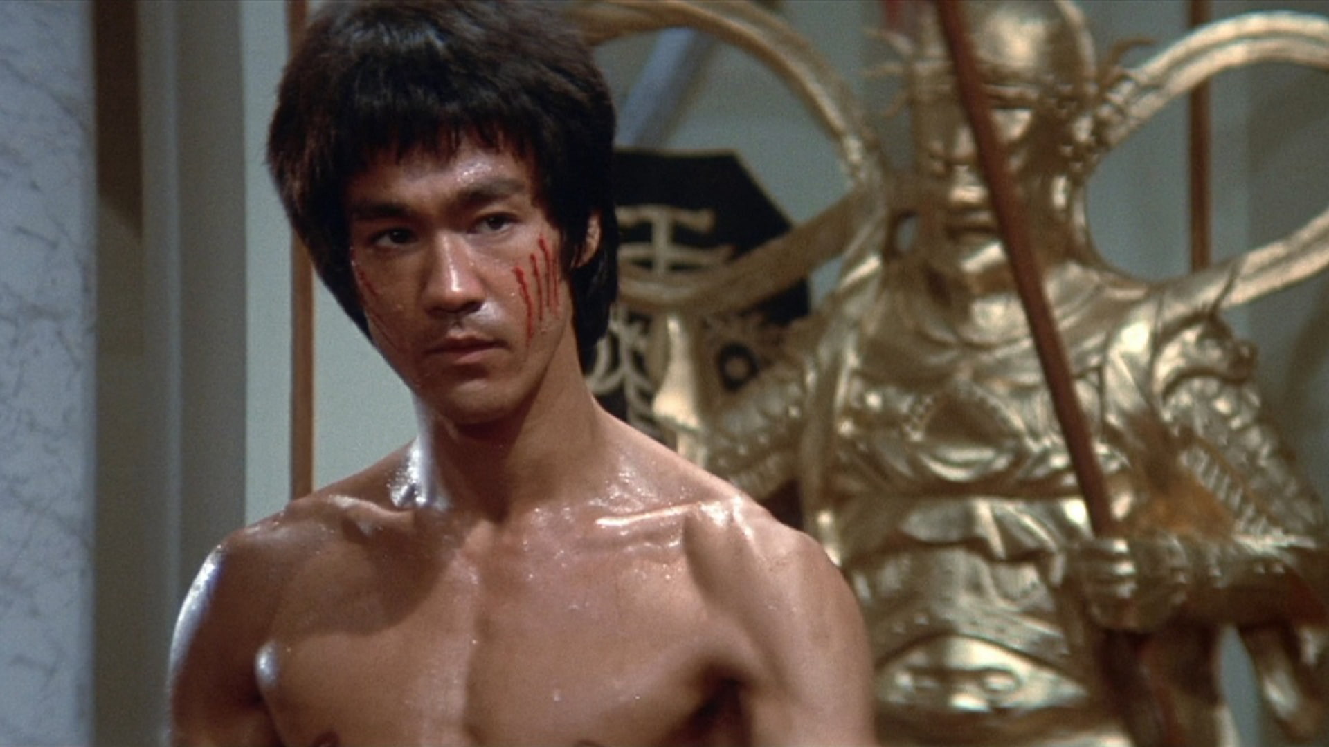 enter, movie, bruce, warrior, martial, 1080P, dragon, arts, lee, HD Wallpaper