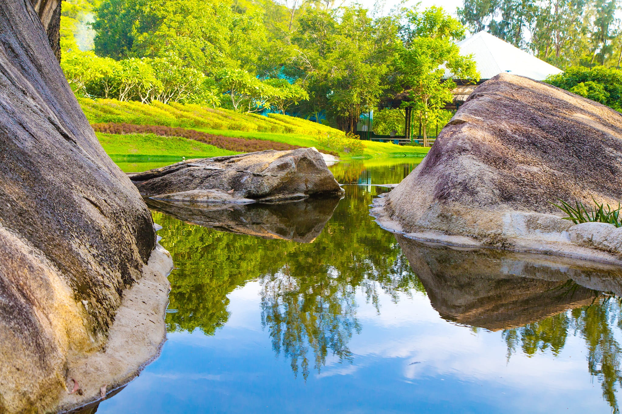outdoors, home, region, enough, green color, tranquility, waterfront, nature, rock, tree, animal, calendar, solid, no people, knife, reflection, flower, HD Wallpaper