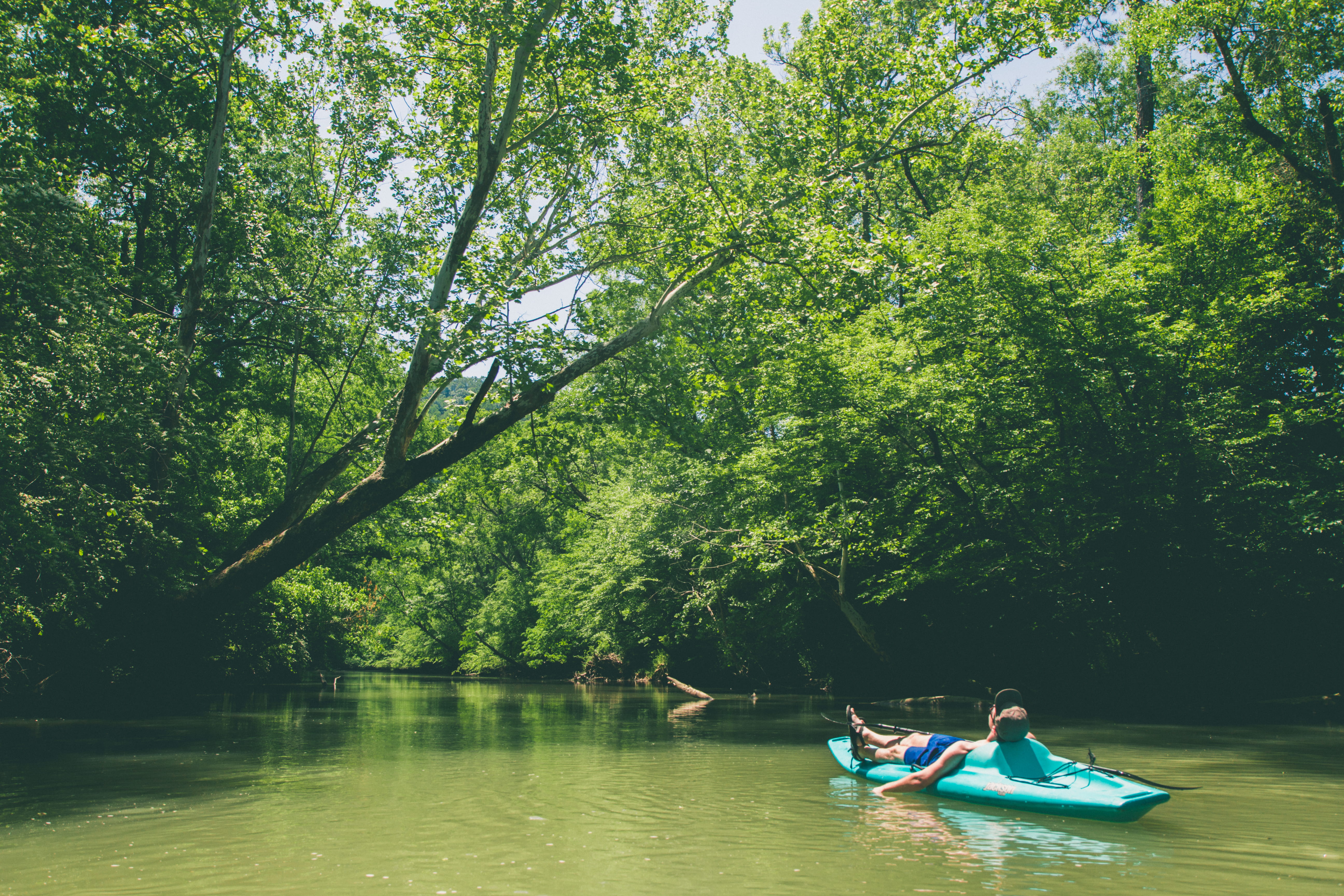 nature, stream, river, united states, real people, beauty in nature, water, leisure activity, day, waterfront, boat, nautical vessel, big wills creek, green color, HD Wallpaper