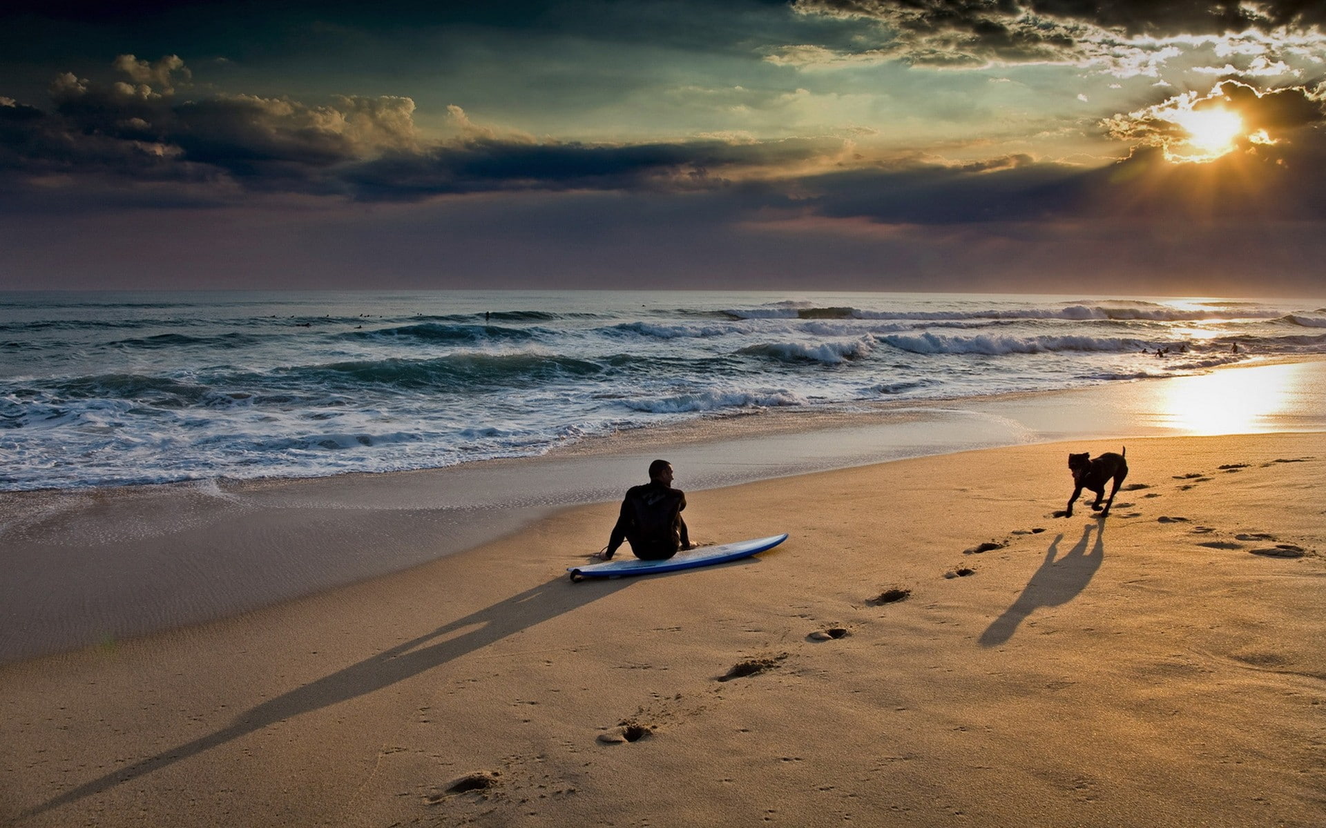 dog, surfboard, hd, clouds, beach, sunlight, nature, ocean, sunset, 1080P, HD Wallpaper