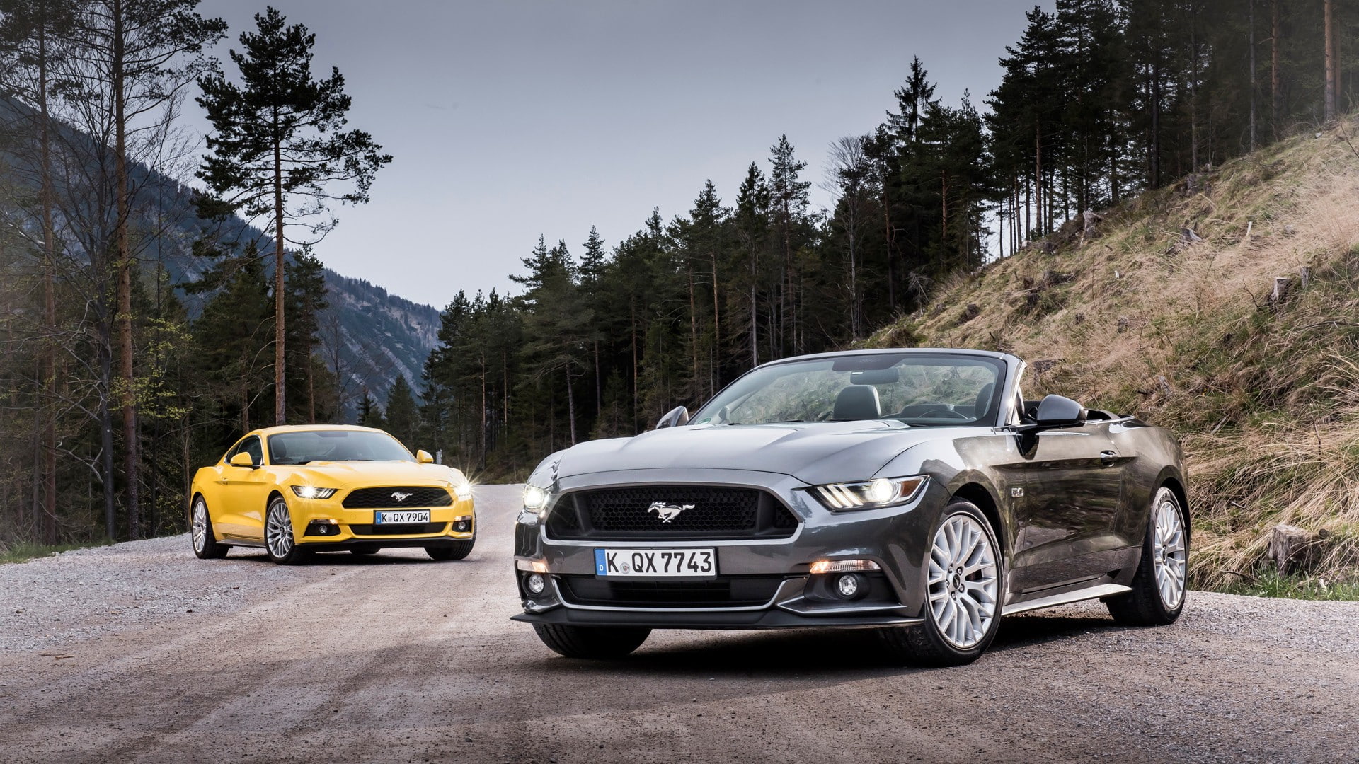 transportation, nature, Ford Mustang, sports car, land, forest, land vehicle, 1080P, black color, mode of transportation, travel, day, Convertible, plant, HD Wallpaper