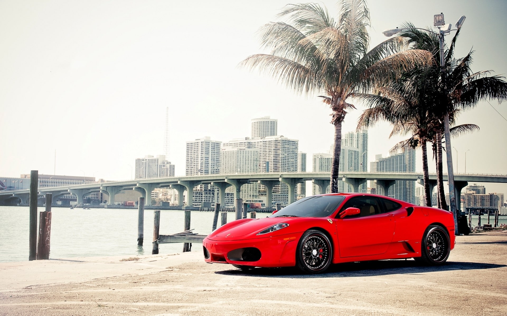 f, ferrari, cars, trees, 1080P, hd, f430, beach, palm, HD Wallpaper