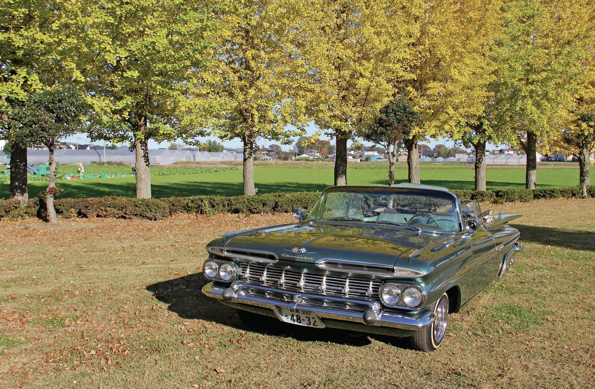 rod, 1959, gangsta, lowrider, chevrolet, rods, 1080P, custom, tuning, impala, hot, HD Wallpaper