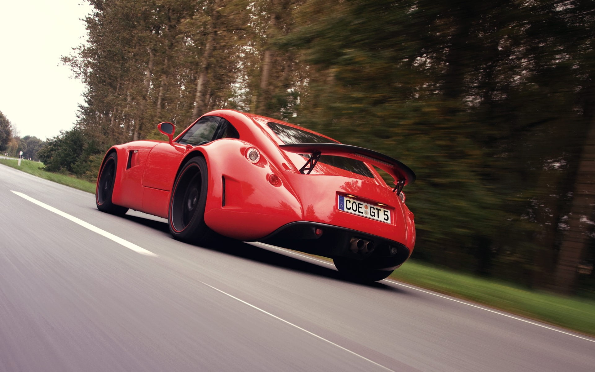 red, tree, motor vehicle, day, Wiesmann, on the move, road marking, mode of transportation, motion, red cars, travel, land vehicle, speed, road, moving, HD Wallpaper