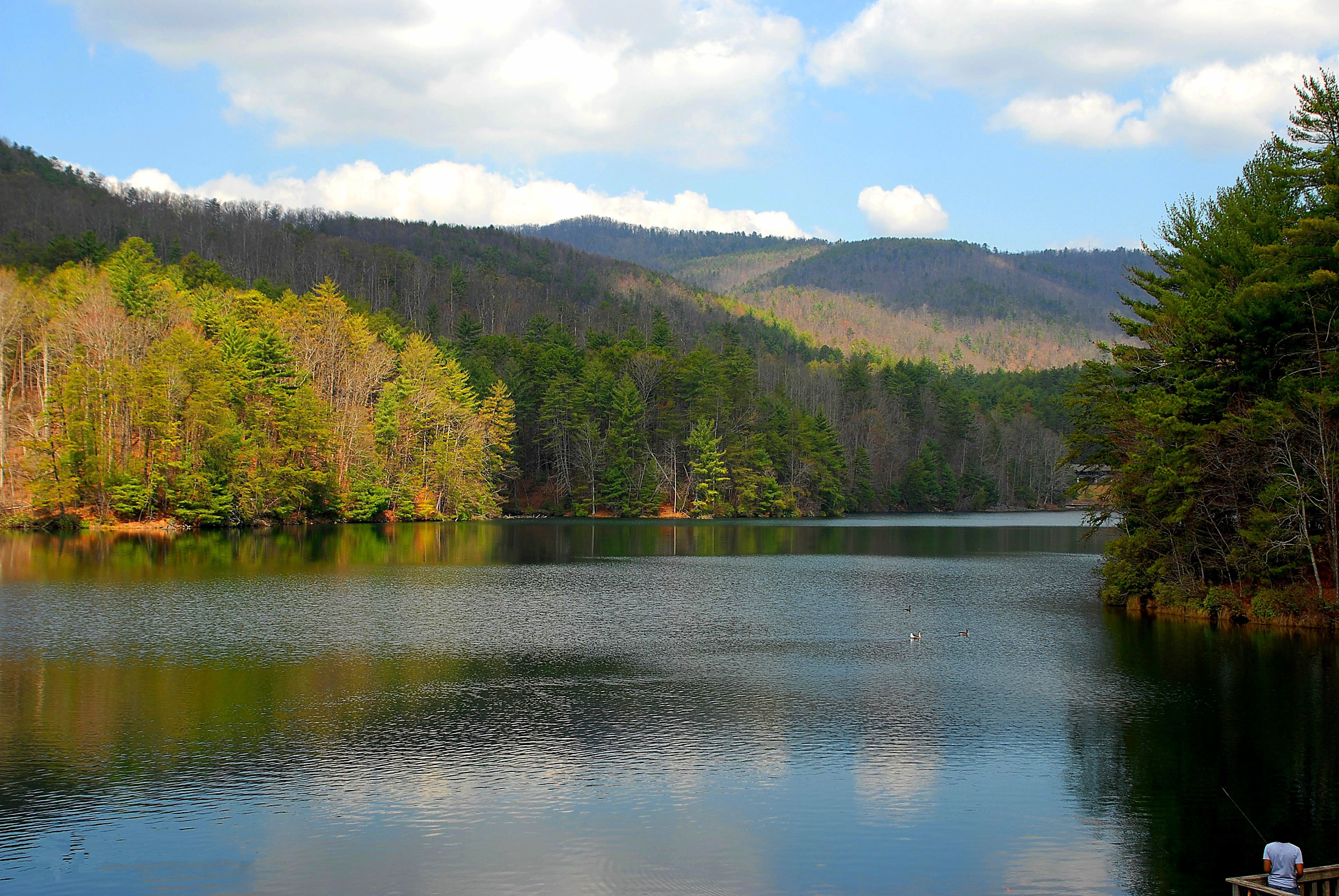 outdoors, scenics - nature, pine woodland, landscapes beautiful, no people, clouds, idyllic, cloud - sky, tree, natural, helen, reflection, mountain, nature landscape, HD Wallpaper