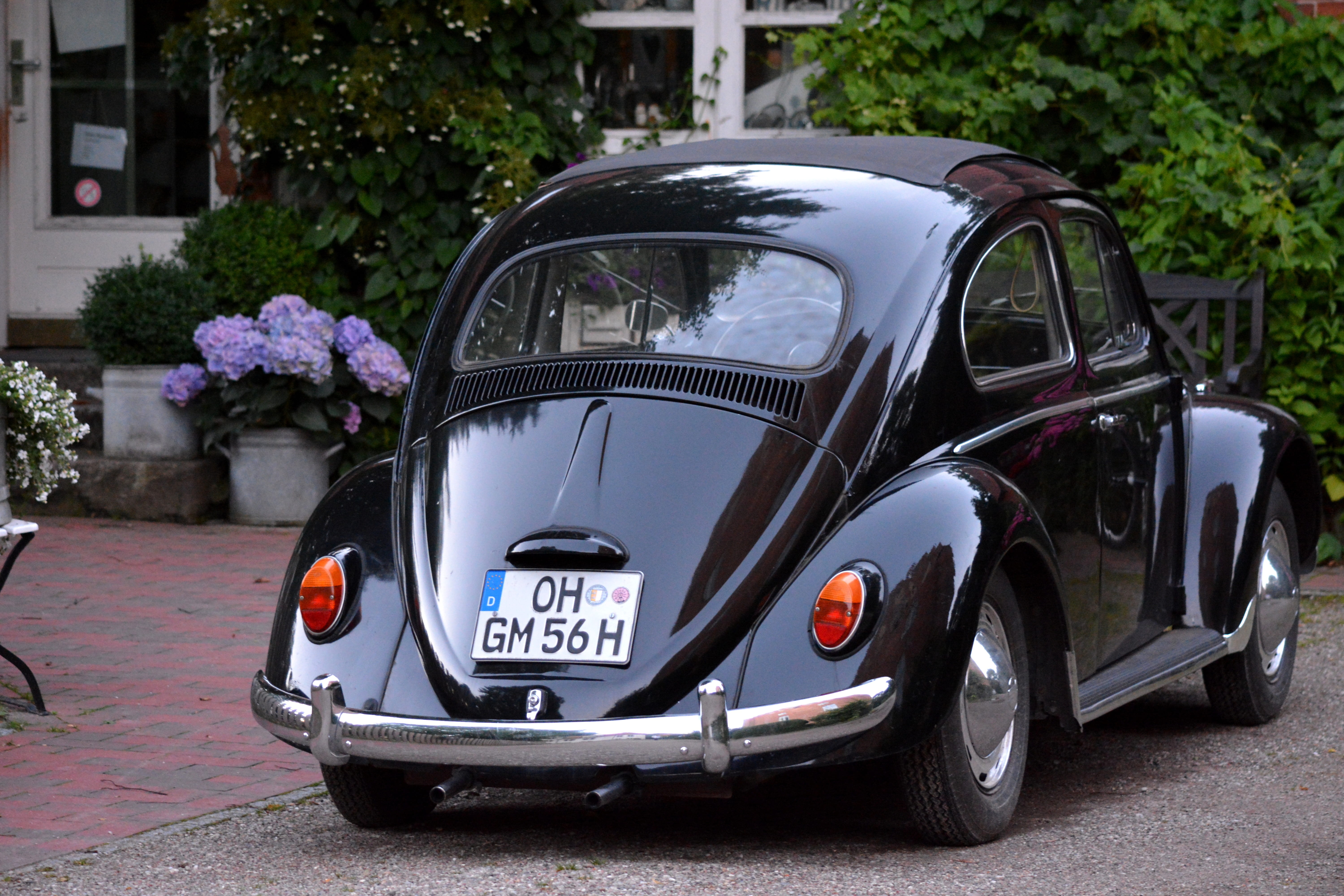 1950, personal land vehicle, city, volkswagen, oldtimer, flower arrangement, building exterior, waiting, car, road, motor vehicle, holstein, stationary, HD Wallpaper