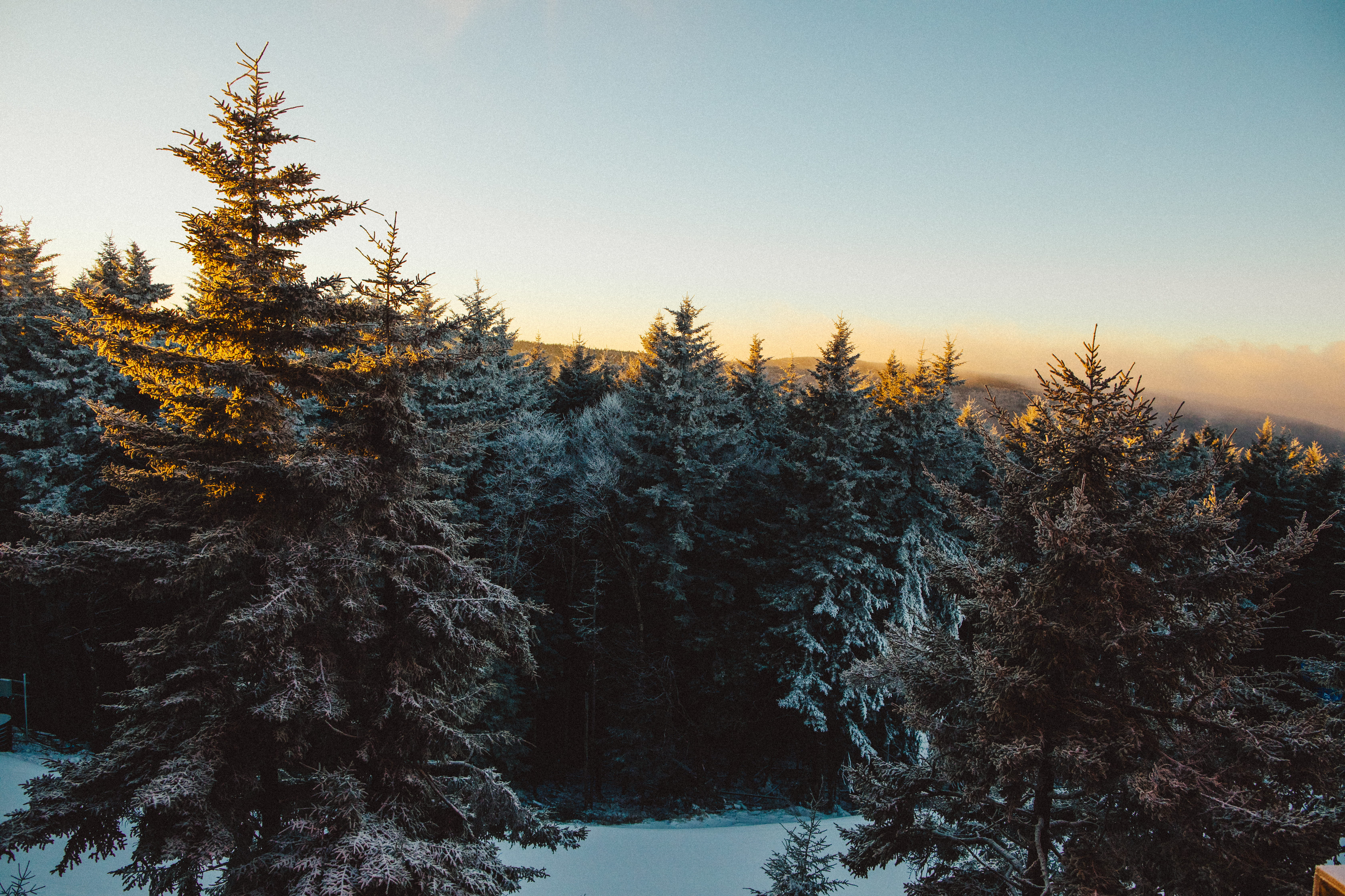 sky, woodland, wv, evergreen, plant, green, cold temperature, no people, tranquil scene, scenics - nature, nature, tranquility, alpine, coniferous tree, HD Wallpaper