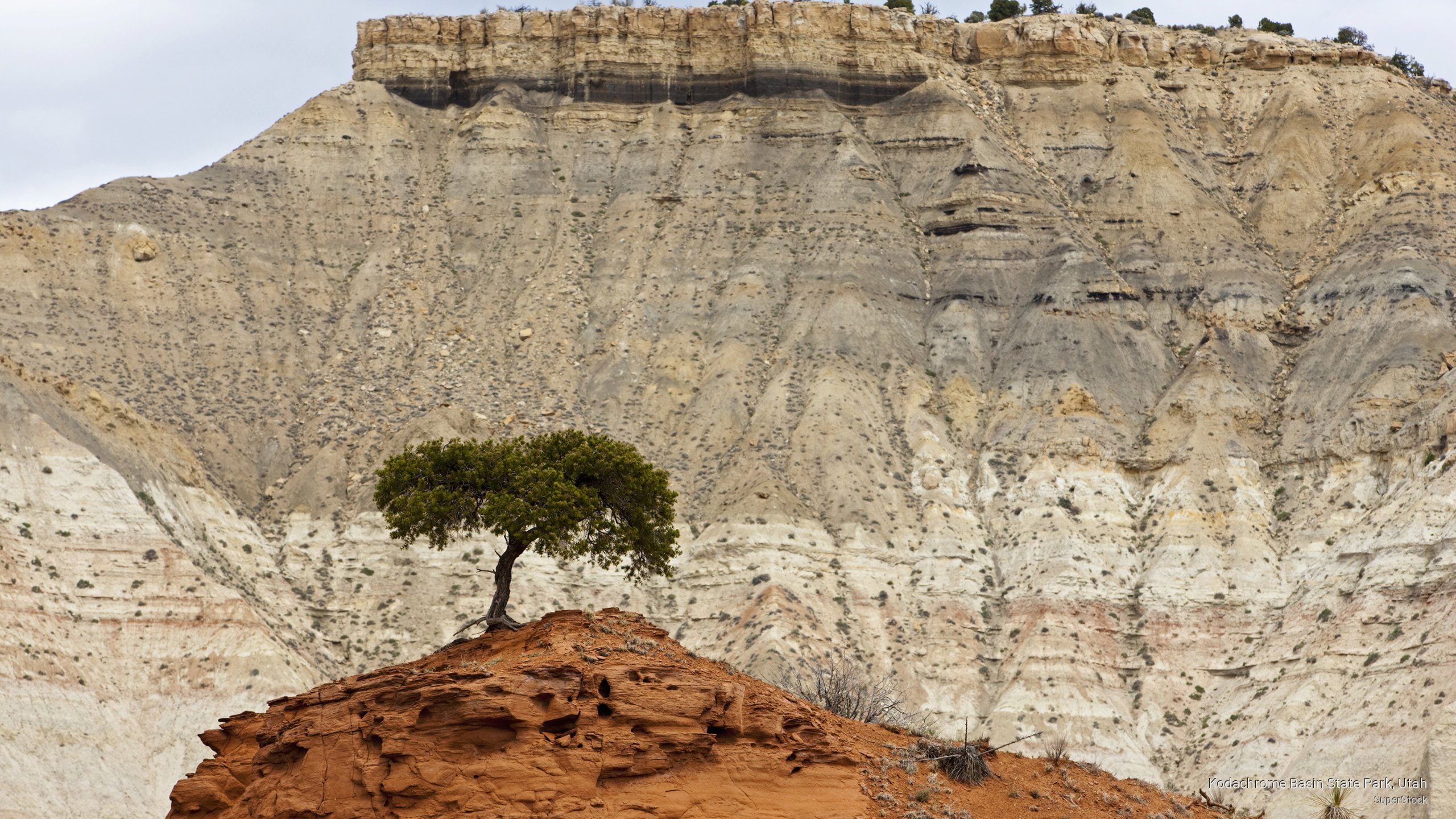 kodachrome, 2K, utah, state, Nature, basin, park, HD Wallpaper