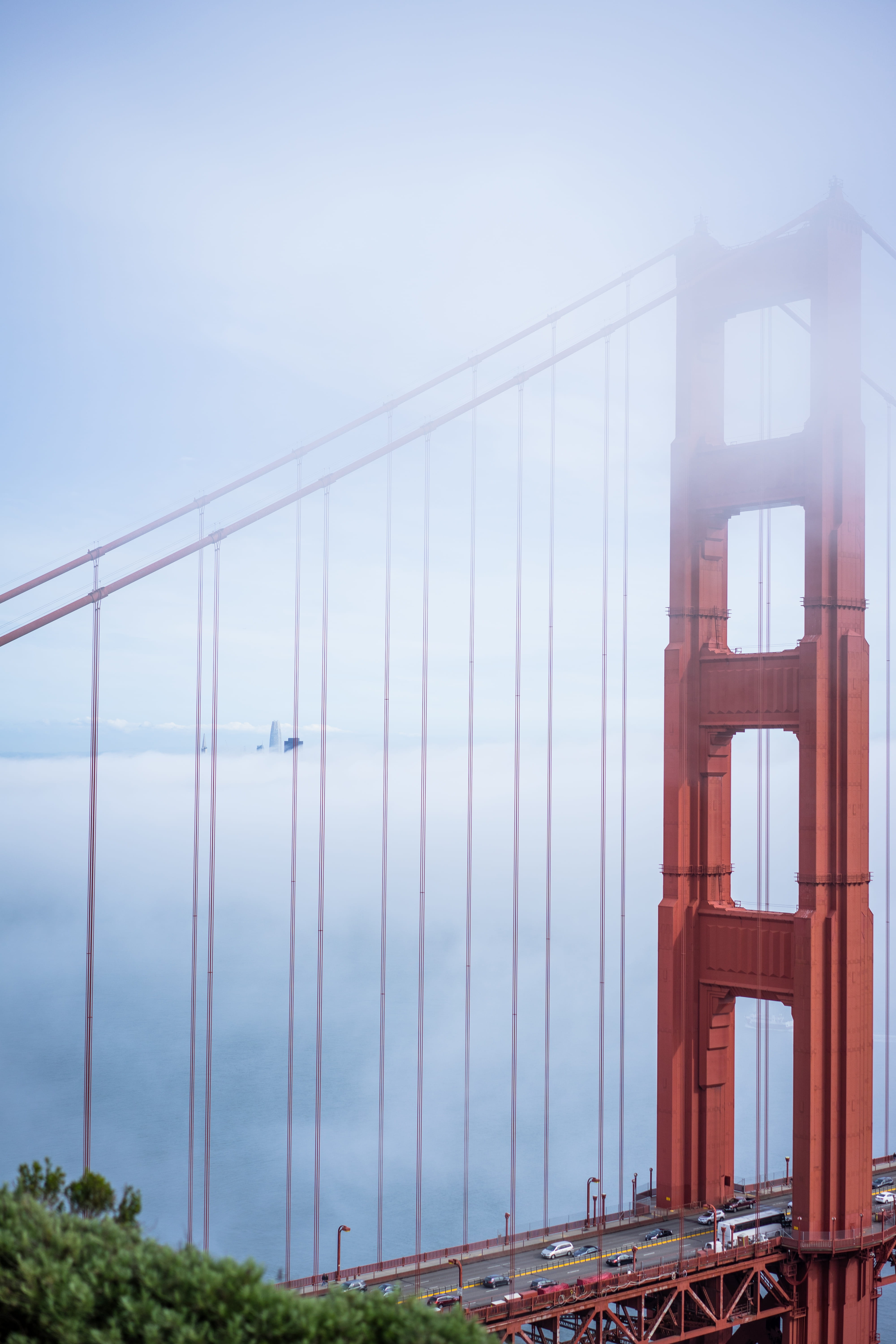 tourism, tower, golden gate, california, architecture, bridge - Man Made Structure, sky, suspension Bridge, sf, city, karl, golden, travel Destinations, Phone HD Wallpaper