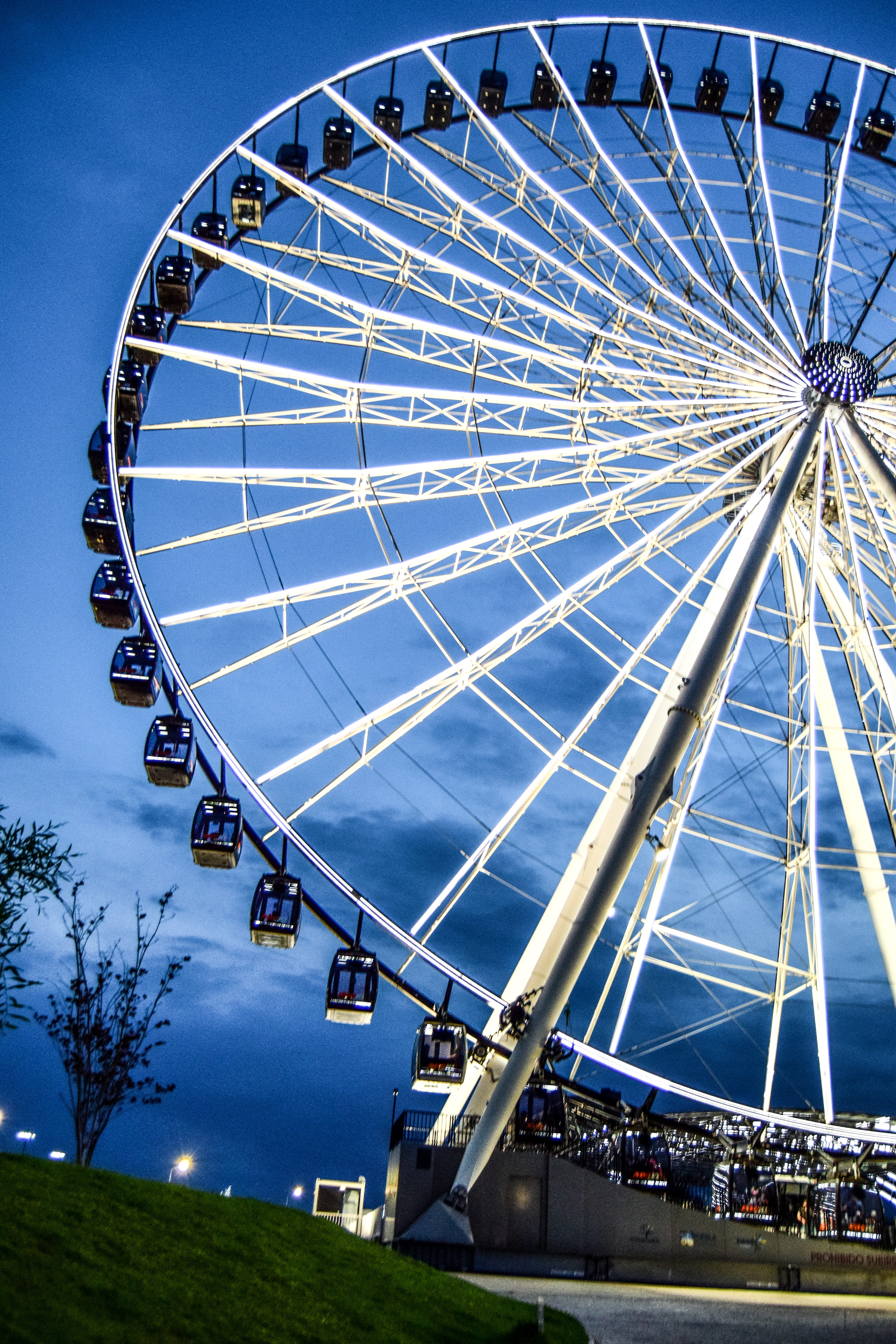 nature, puebla, outdoors, amusement park ride, 5K, ferris wheel, large, plant, lights, enjoyment, arts culture and entertainment, blue, wheel of fortune, Phone HD Wallpaper