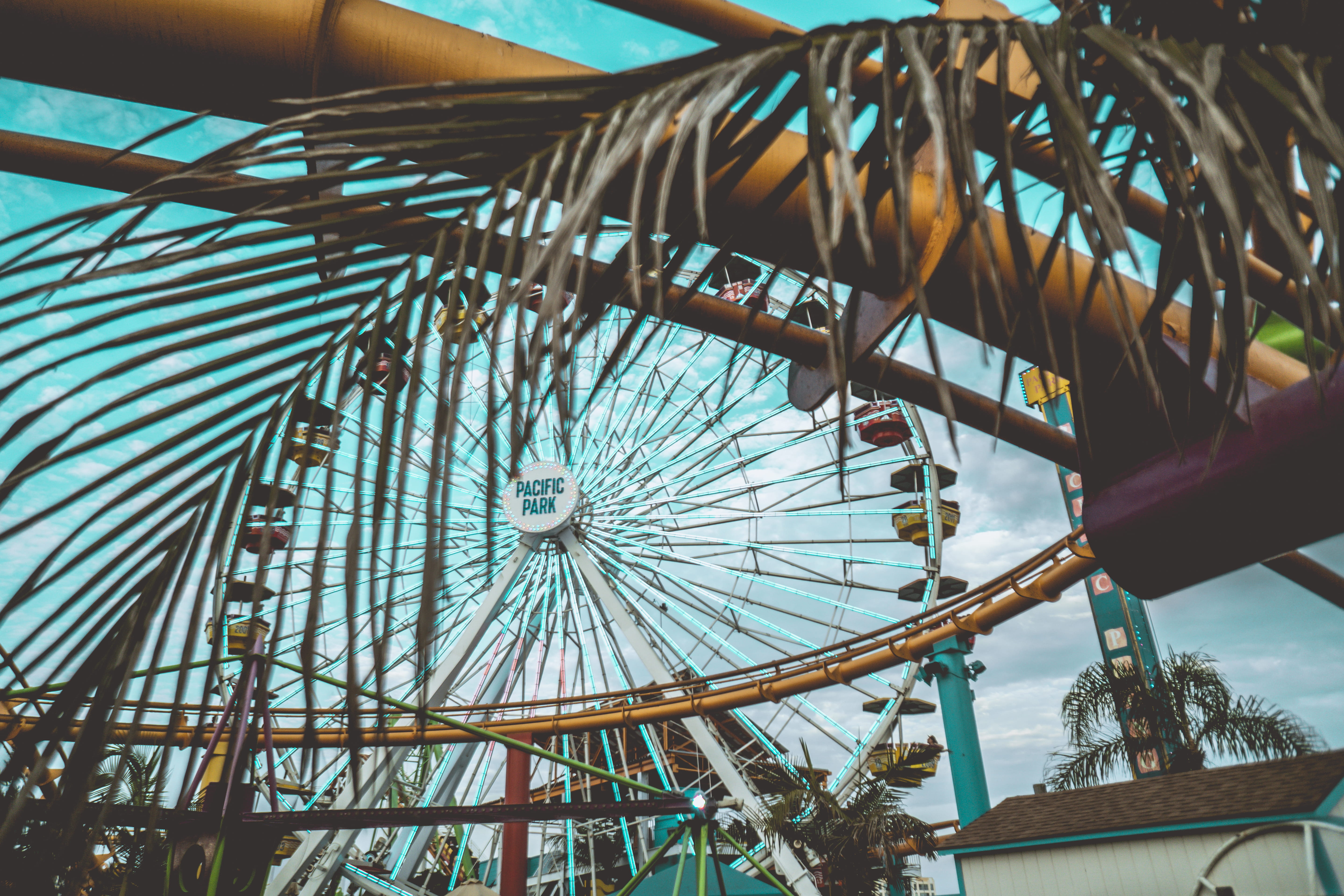 pattern, pacific park, fun, arts culture and entertainment, architecture, amusement park, nature, plants, focus on foreground, united states, metal, outdoors, HD Wallpaper