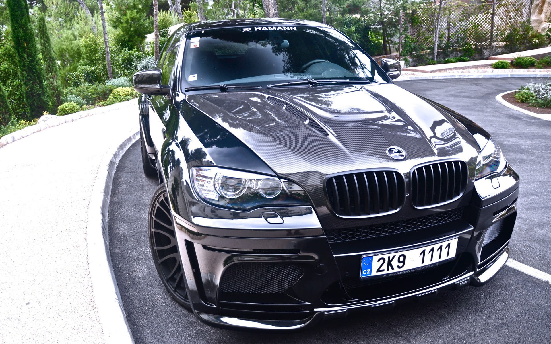 1080P, plant, road, outdoors, street, headlight, car, no people, suv, land vehicle, BMW, mode of transportation, transportation, parking, travel, city, HD Wallpaper