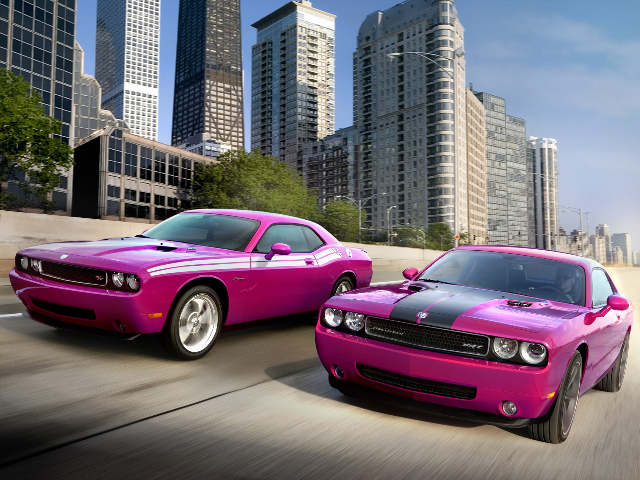 r t, furious, dodge, fuchsia, srt, muscle, 2010, challenger, 1080P, HD Wallpaper