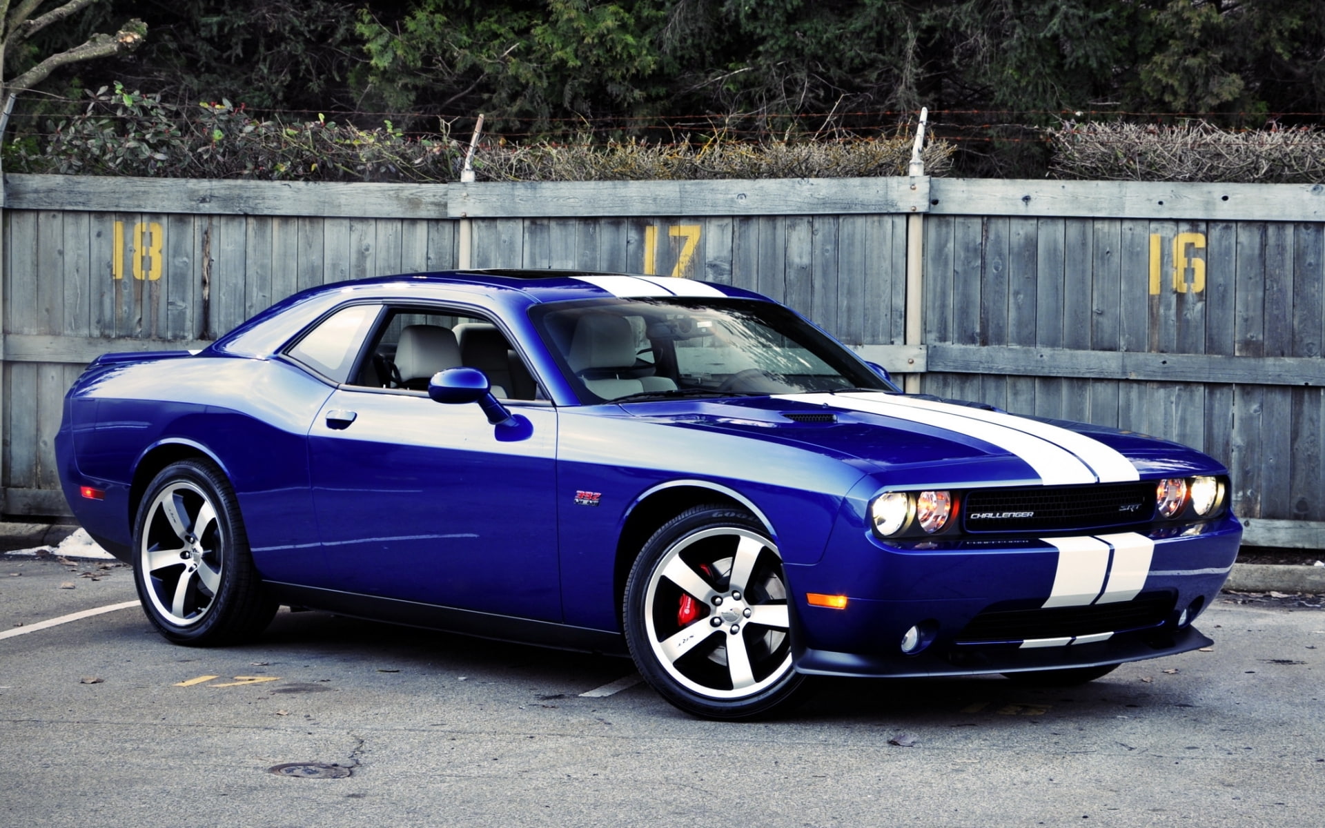 SRT8, 1080P, blue, 392, Muscle car, Chelenzher, the front, Dodge, Inaugural Edition, Challenger, HD Wallpaper