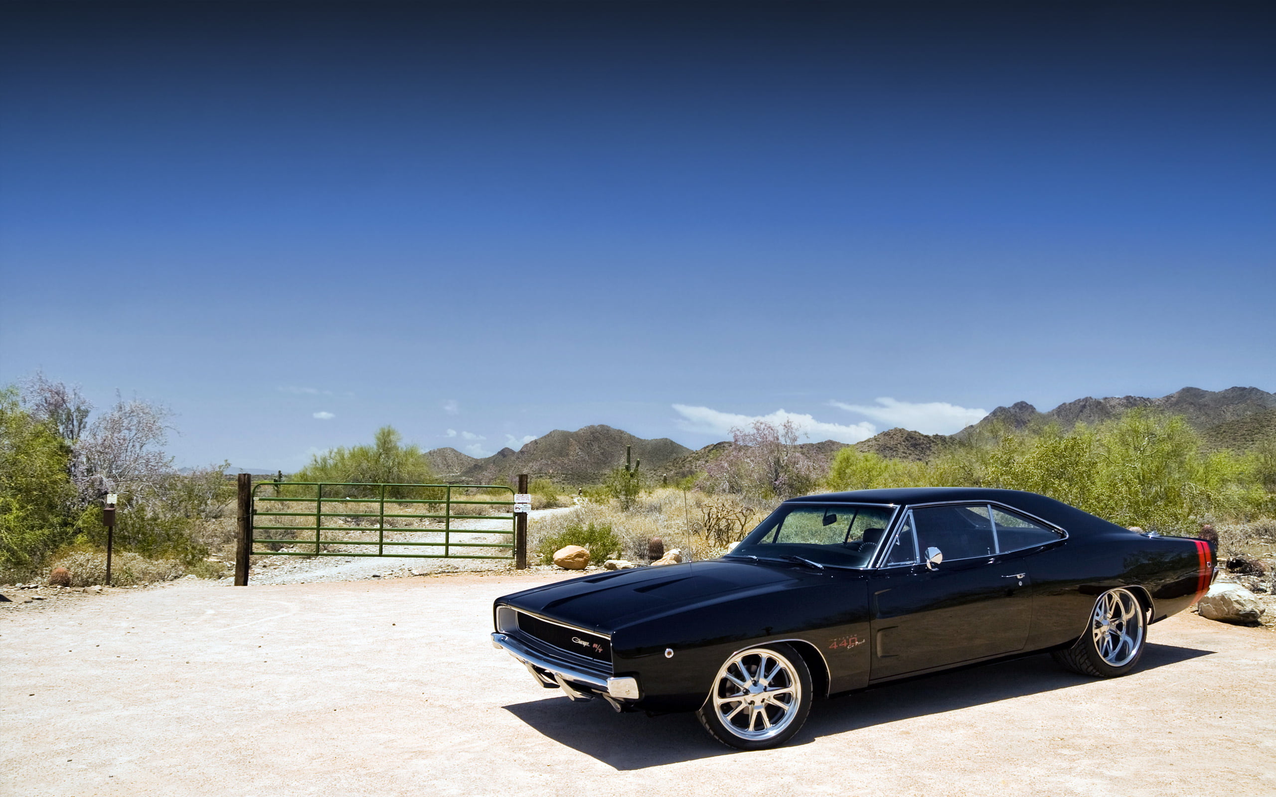 road Trip, motor Vehicle, 2K, tree, charger, r/t, vintage Car, sports Car, stationary, antique, plant, scenics, outdoors, personal Land Vehicle, landscape, HD Wallpaper