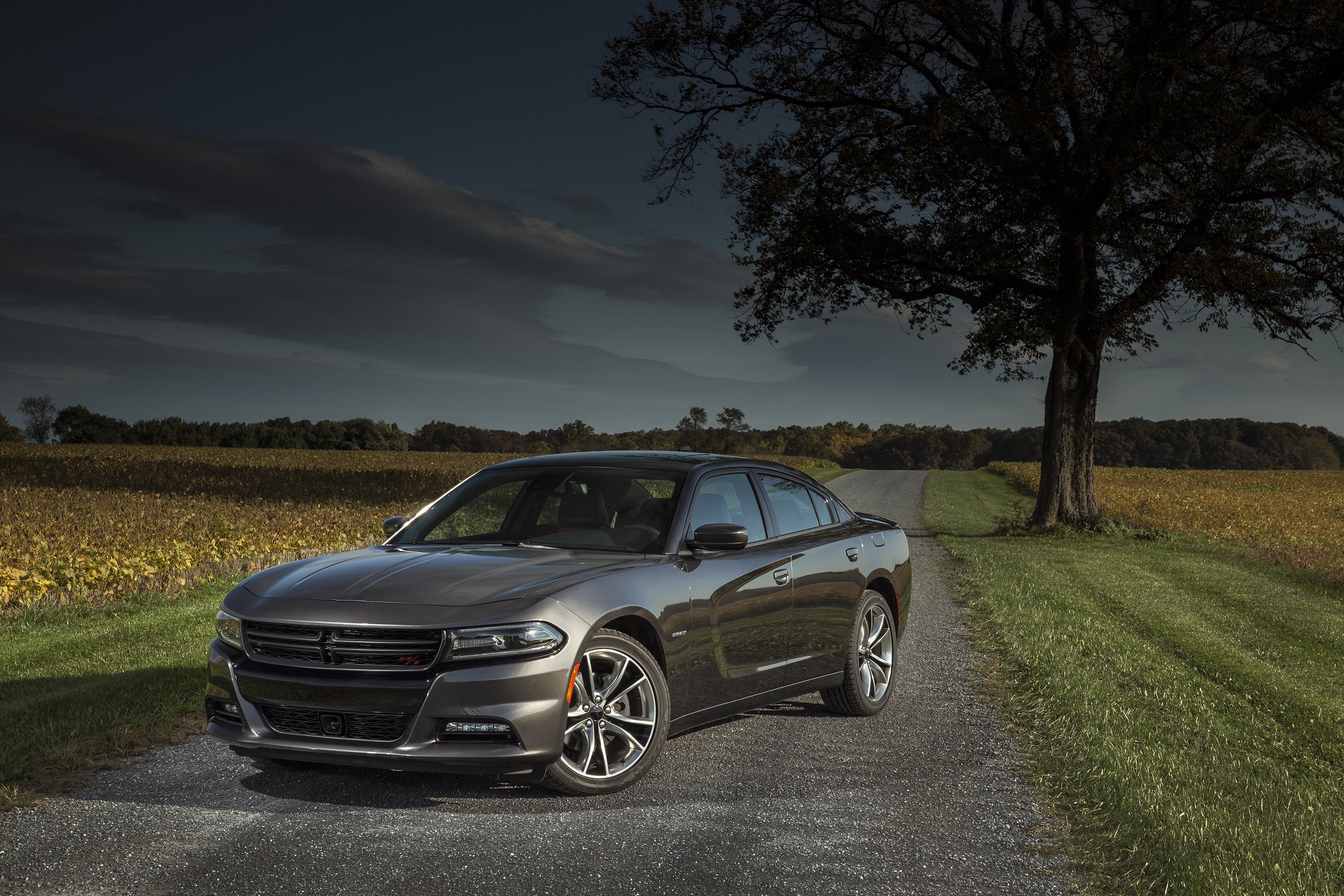 2015, charger, muscle, (l-d), dodge, r-t, 2K, HD Wallpaper