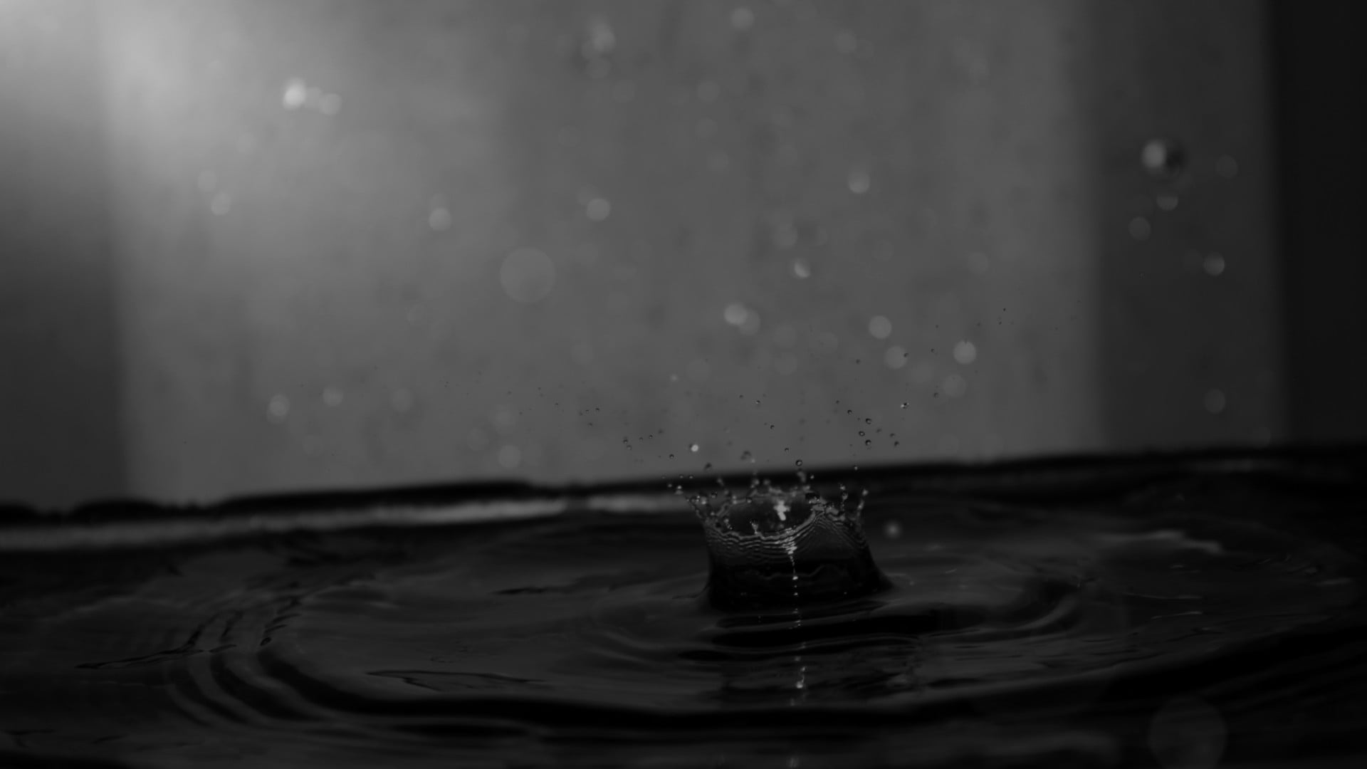 monochrome, bed, no people, waterfront, close-up, 1080P, water surface, falling, water drops, splashing, purity, motion, frame, splashing droplet, day, HD Wallpaper