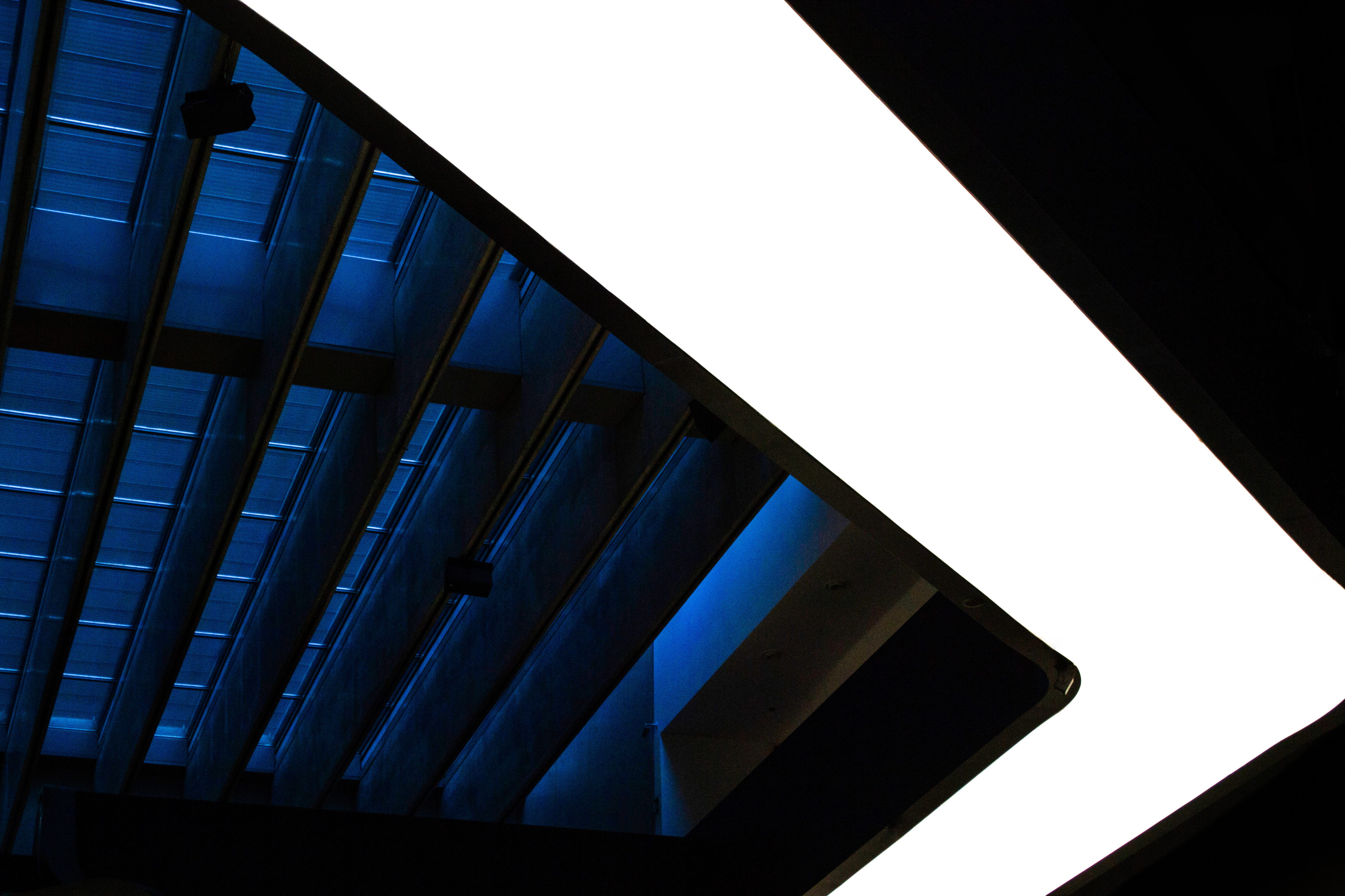 wall - building feature, flying, silhouette, 4K, blue, architecture, ceiling, built structure, eagle, housing, triangle, copy space, animal, skylight, HD Wallpaper