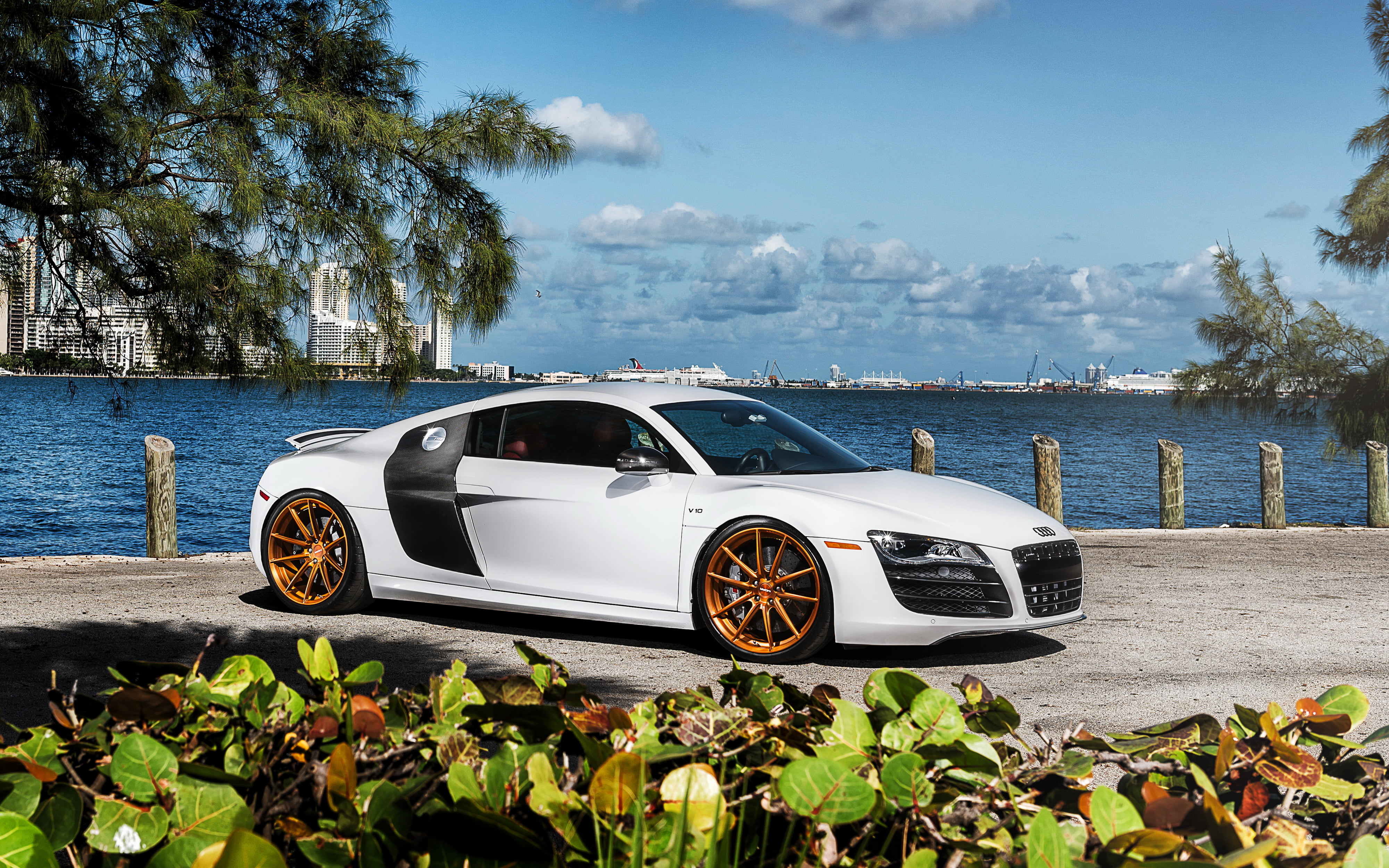 sunlight, sky, coupe, cloud - sky, sea, white, wheel, no people, nature, outdoors, beach, audi r8, luxury, water, tree, car, Audi, land vehicle, nautical vessel, HD Wallpaper
