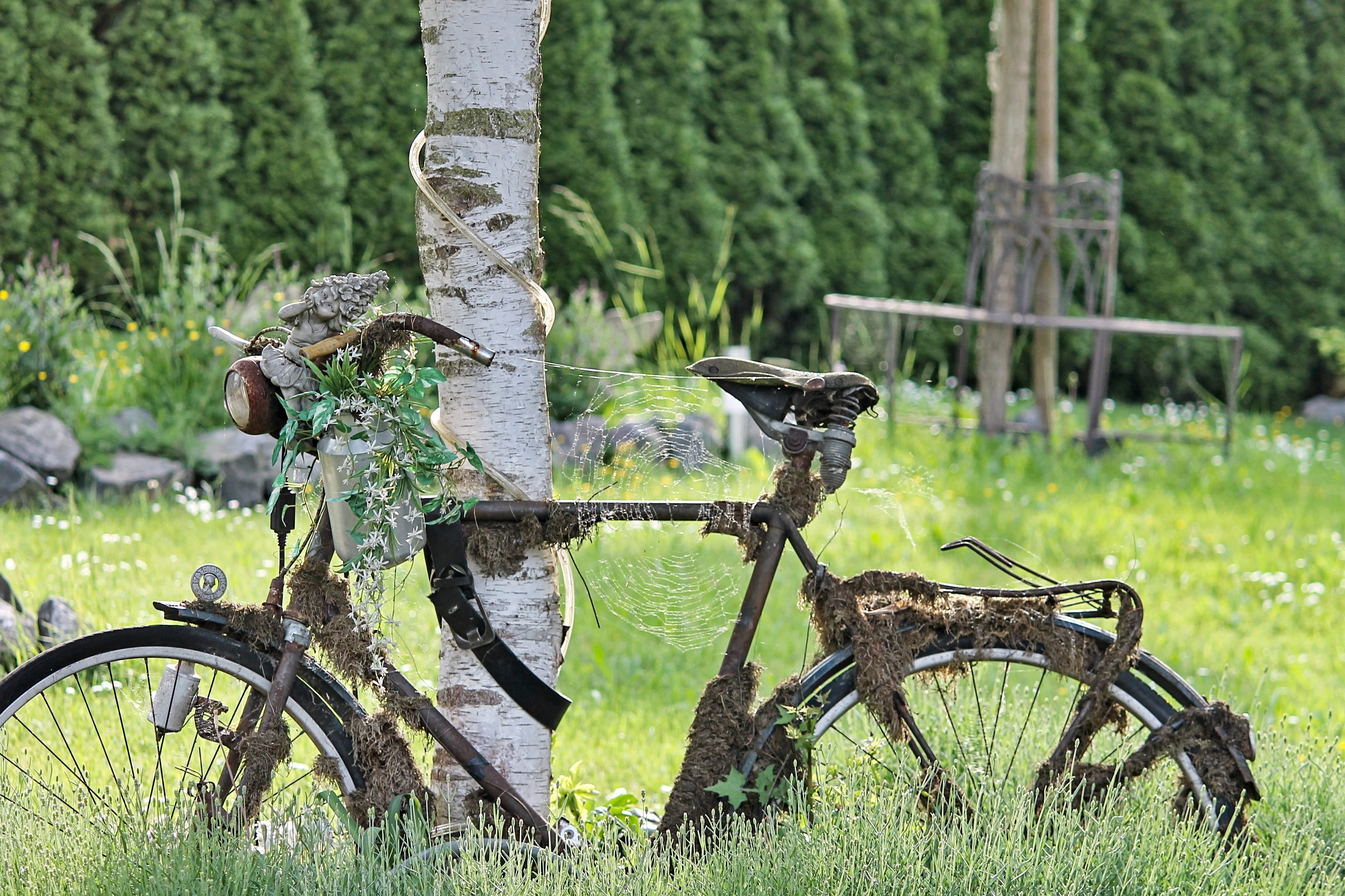 wood - material, grass, past, tree, group of animals, animal themes, day, forget, overgrown, garden decoration, bird, turned off, corrosion, decoration, HD Wallpaper