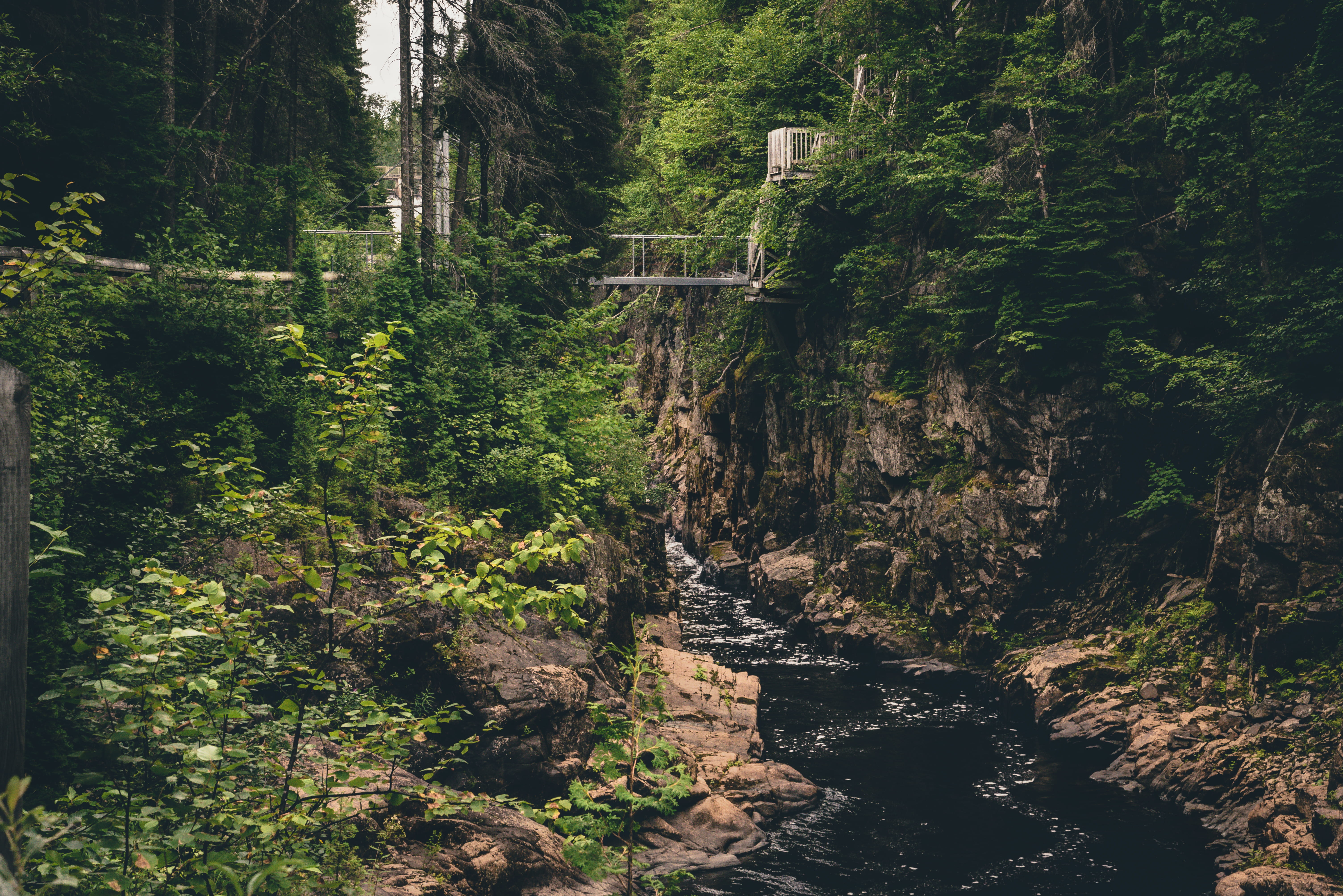 green color, valley, river, wonderful, 5K, plant, rainforest, woodland, cliff, outdoors, rock, growth, flowing, solid, flowing water, forest, centre plein air bec-scie, HD Wallpaper