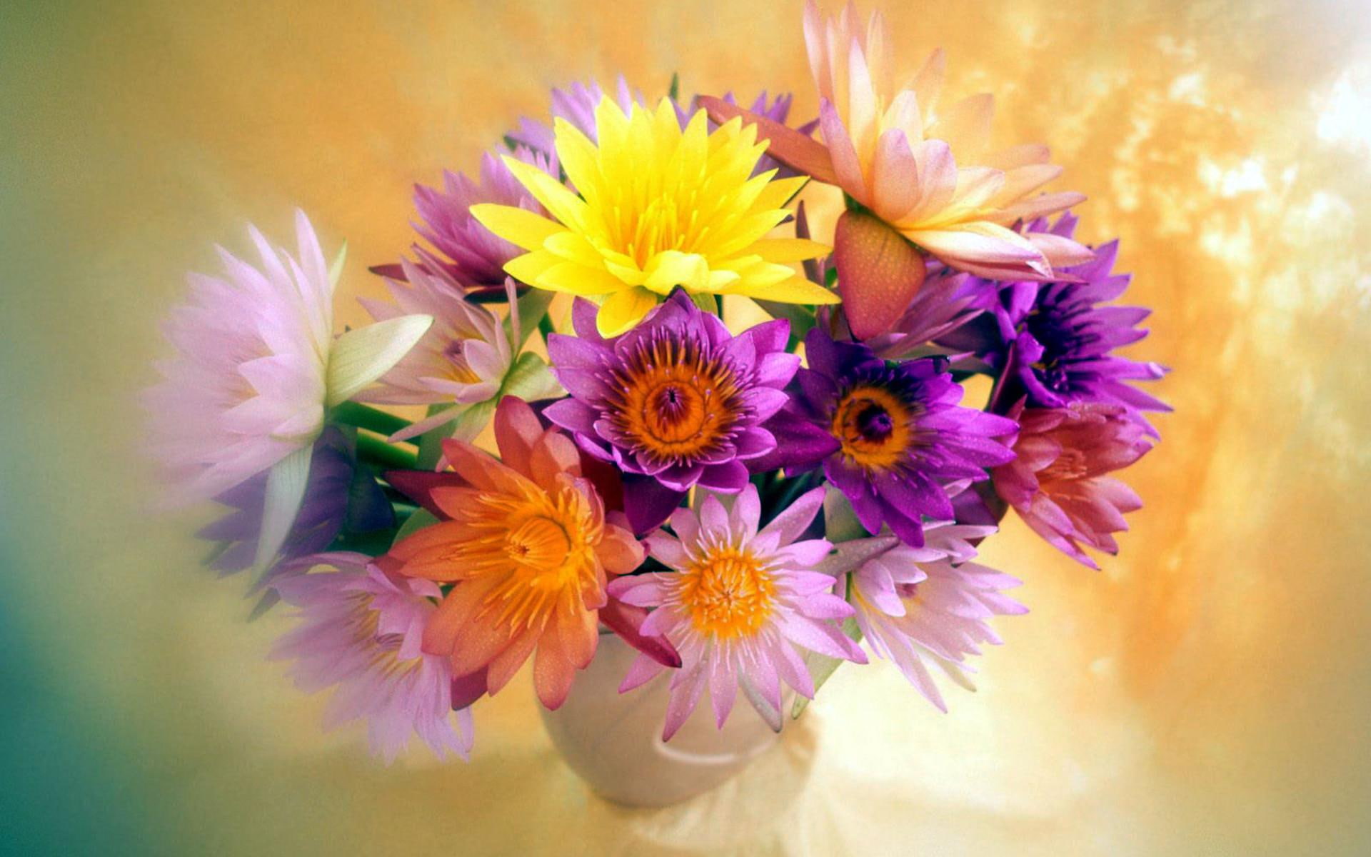 lovely, 1080P, pink, purple, buch, 3d and abstract, flowers, nature, colourfull, HD Wallpaper