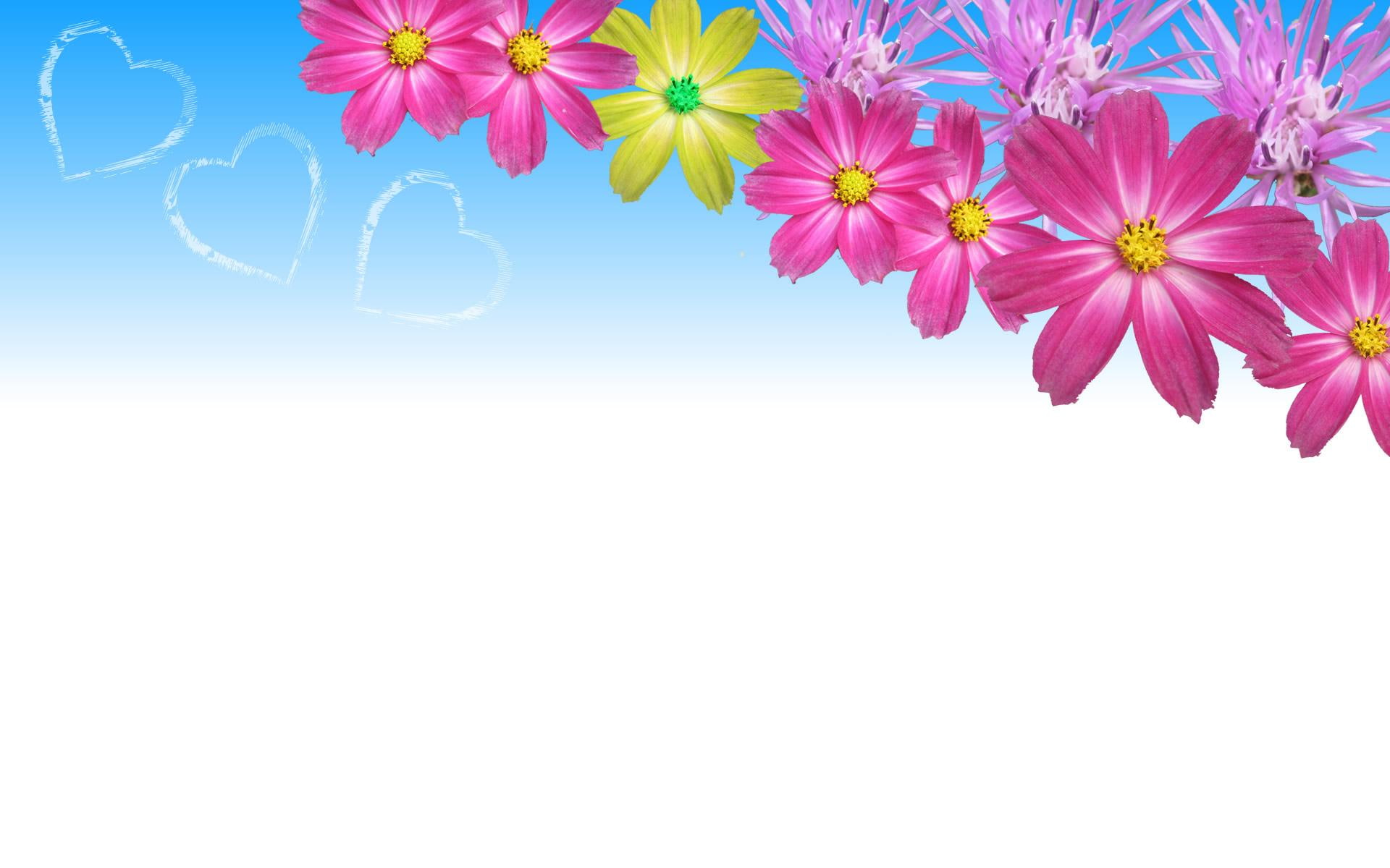 power, petaled, flower, love, pink, 3d and abstract, hearts, 1080P, pink flowers, flowers, illustration, HD Wallpaper
