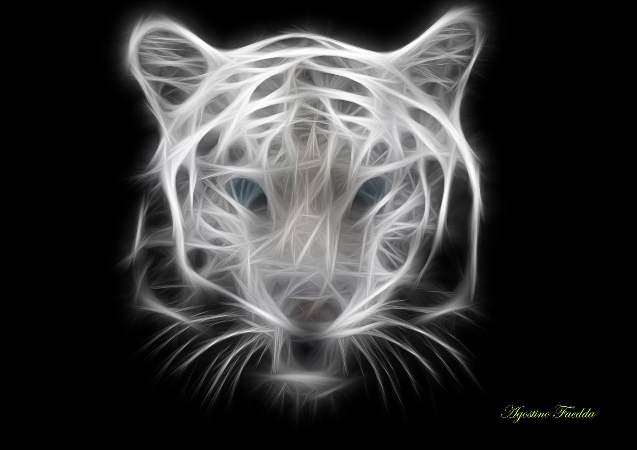 pattern, swirl, abstract, healthcare and medicine, illuminated, nature, black background, tiger, burning, studio shot, wildlife, mystery, 1080P, motion, HD Wallpaper