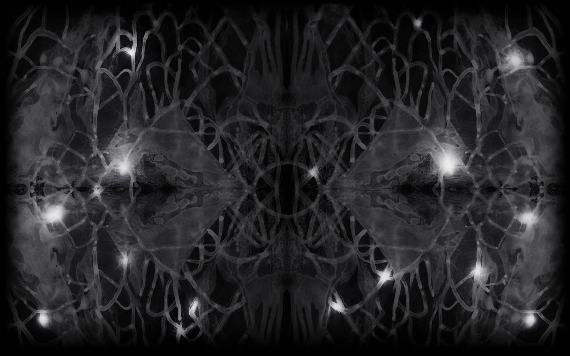 pattern, composite image, 1080P, science, full frame, x-ray image, medical x-ray, no people, abstract, textured, indoors, quantum conscience, backgrounds, HD Wallpaper
